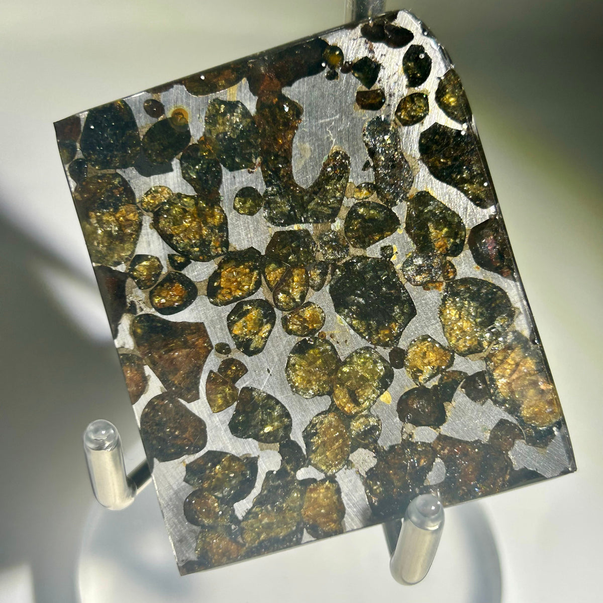82g Sericho Pallasite Endcut / Meteorite Slice/ Pallasite Pendant / Meteorite Endcut