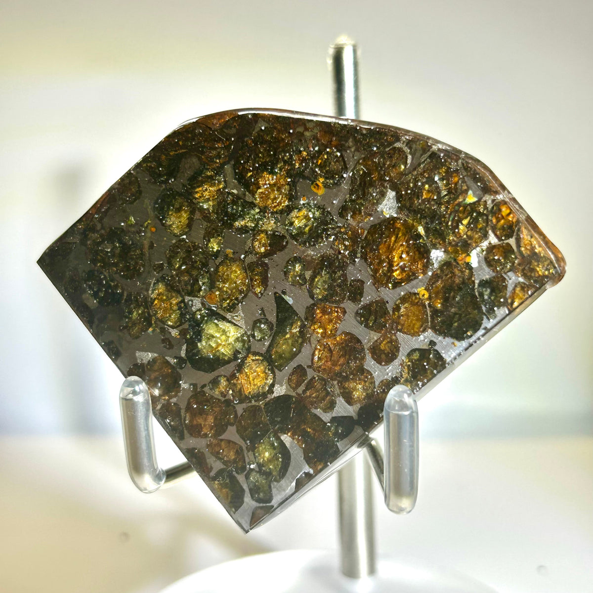 78g Sericho Pallasite Endcut / Meteorite Pendant / Pallasite Slice / Meteorite Specimen