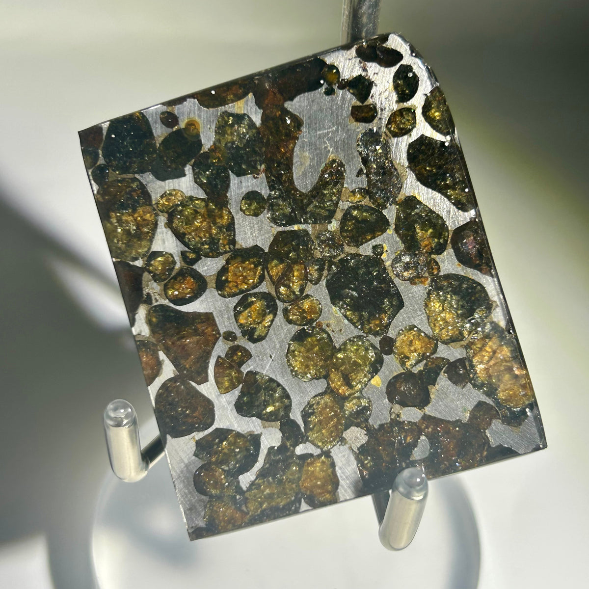 82g Sericho Pallasite Endcut / Meteorite Slice/ Pallasite Pendant / Meteorite Endcut