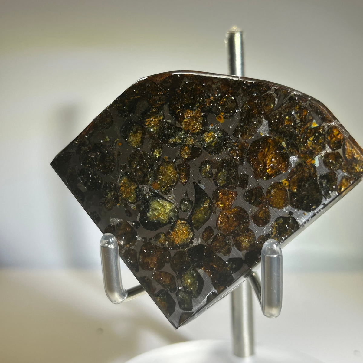 78g Sericho Pallasite Endcut / Meteorite Pendant / Pallasite Slice / Meteorite Specimen