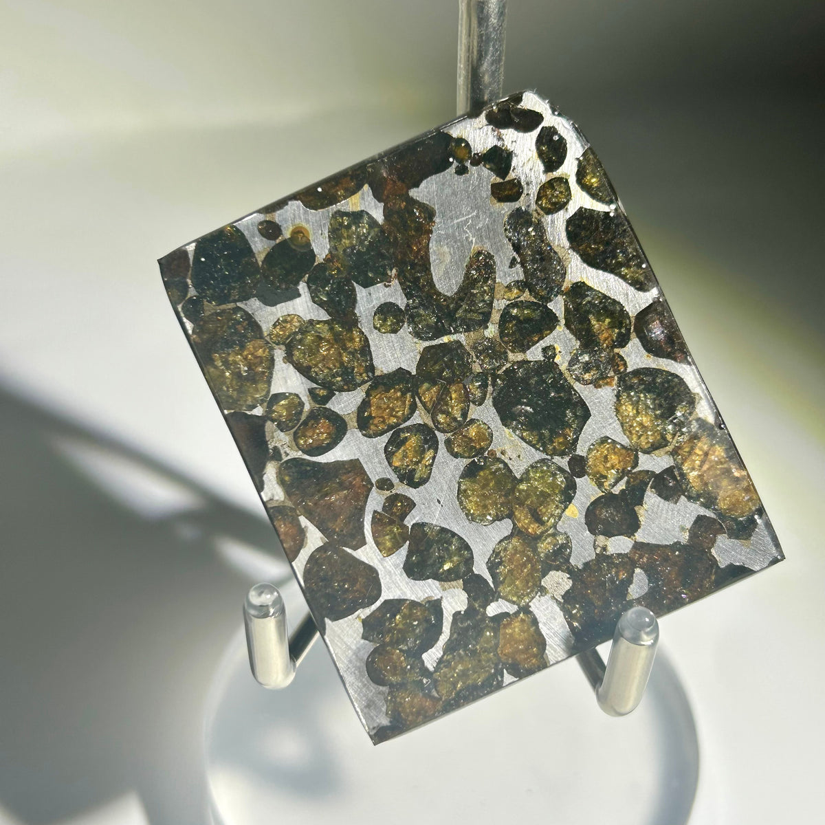 82g Sericho Pallasite Endcut / Meteorite Slice/ Pallasite Pendant / Meteorite Endcut