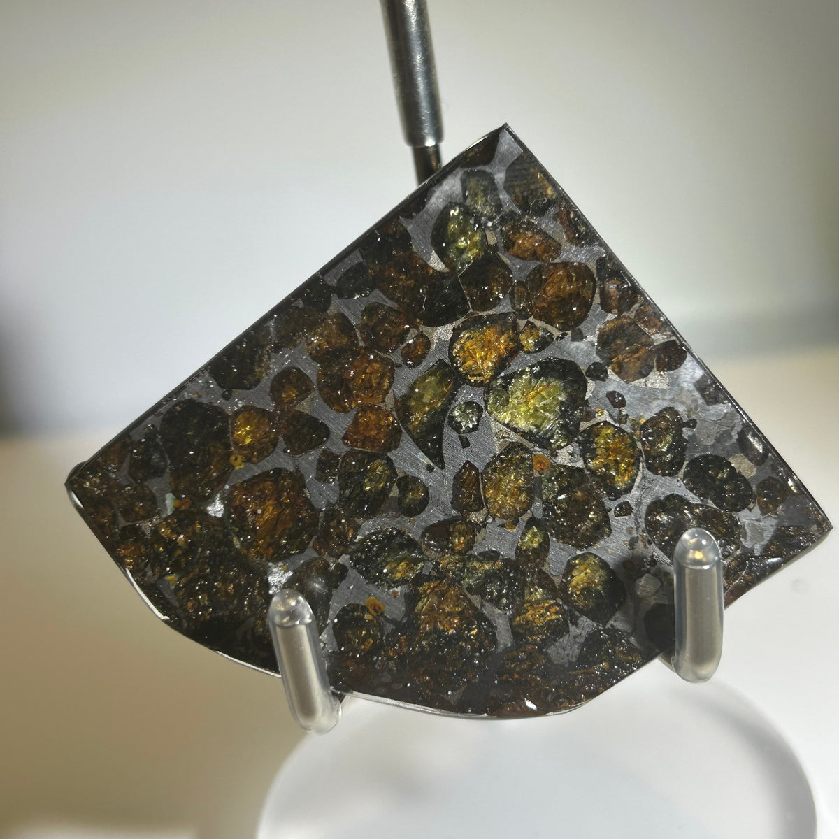 78g Sericho Pallasite Endcut / Meteorite Pendant / Pallasite Slice / Meteorite Specimen