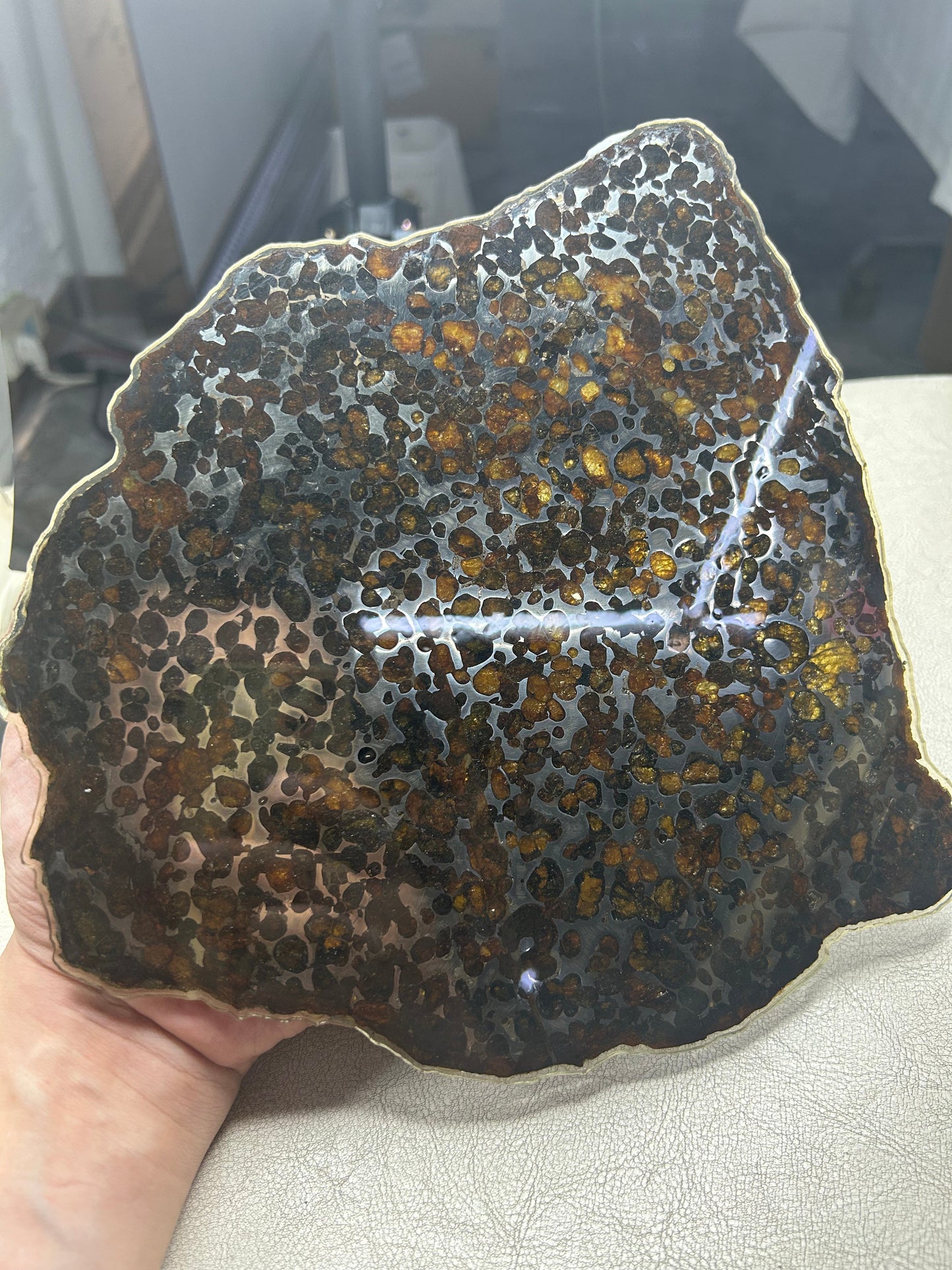 Sericho Pallasite Meteorite Slice 340g (200×220×3.5mm) — Golden Olivine Gems in Meteorites | Meteorite for Sale