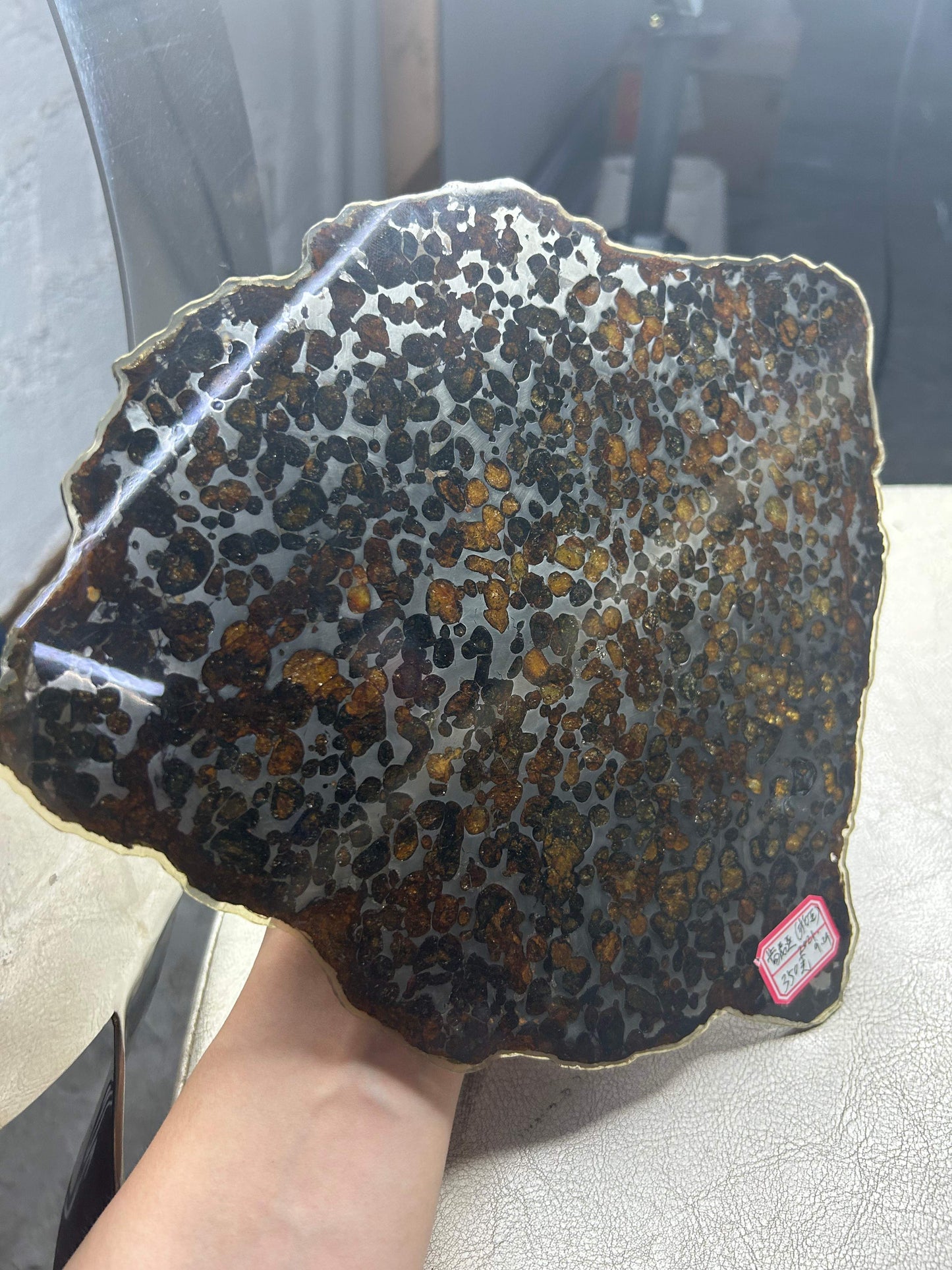 Sericho Pallasite Meteorite Slice 350g (200×230×3.5mm) — Golden Olivine “Gems in Meteorites” | Meteorite for Sale
