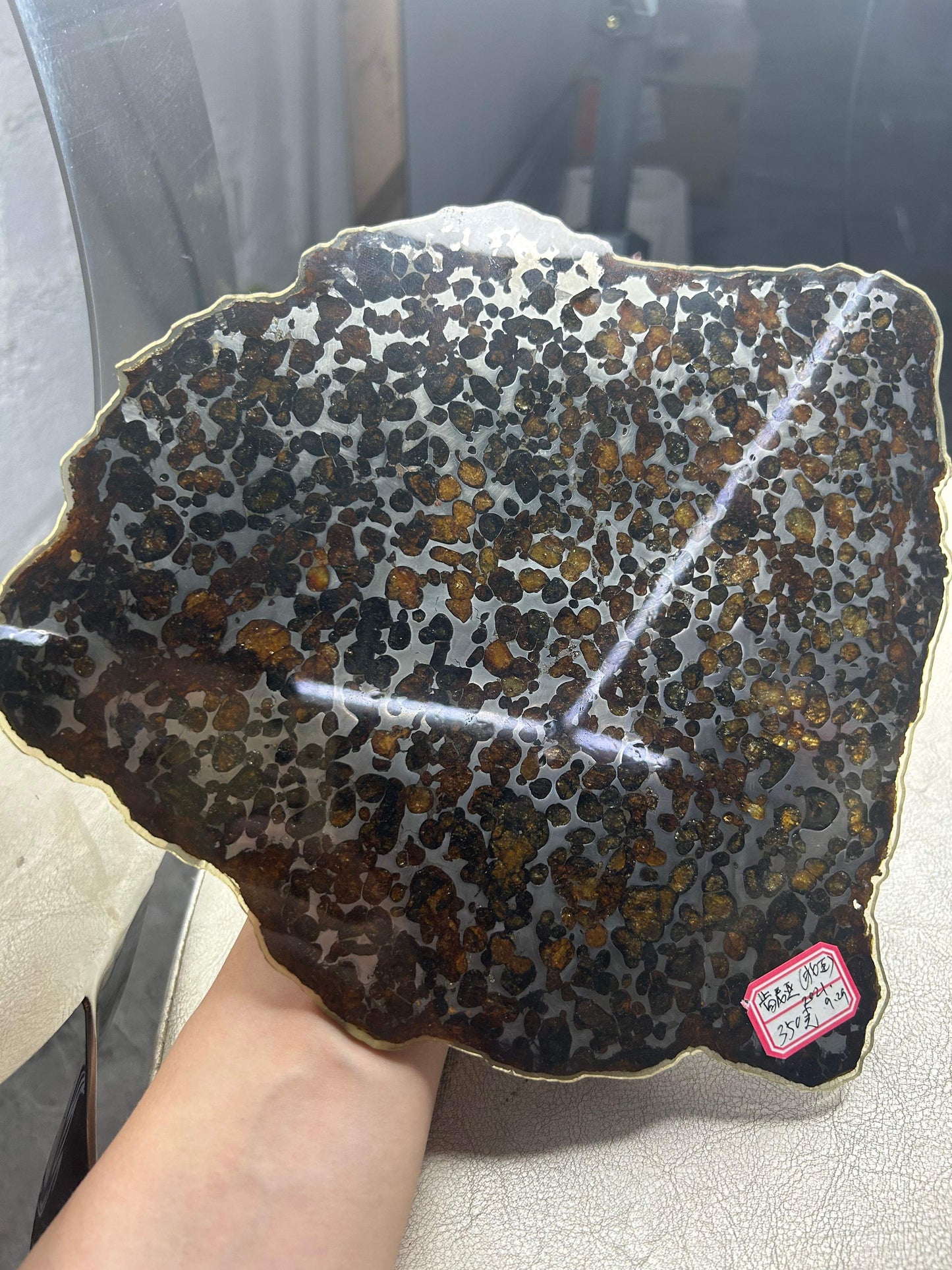 Sericho Pallasite Meteorite Slice 350g (200×230×3.5mm) — Golden Olivine “Gems in Meteorites” | Meteorite for Sale