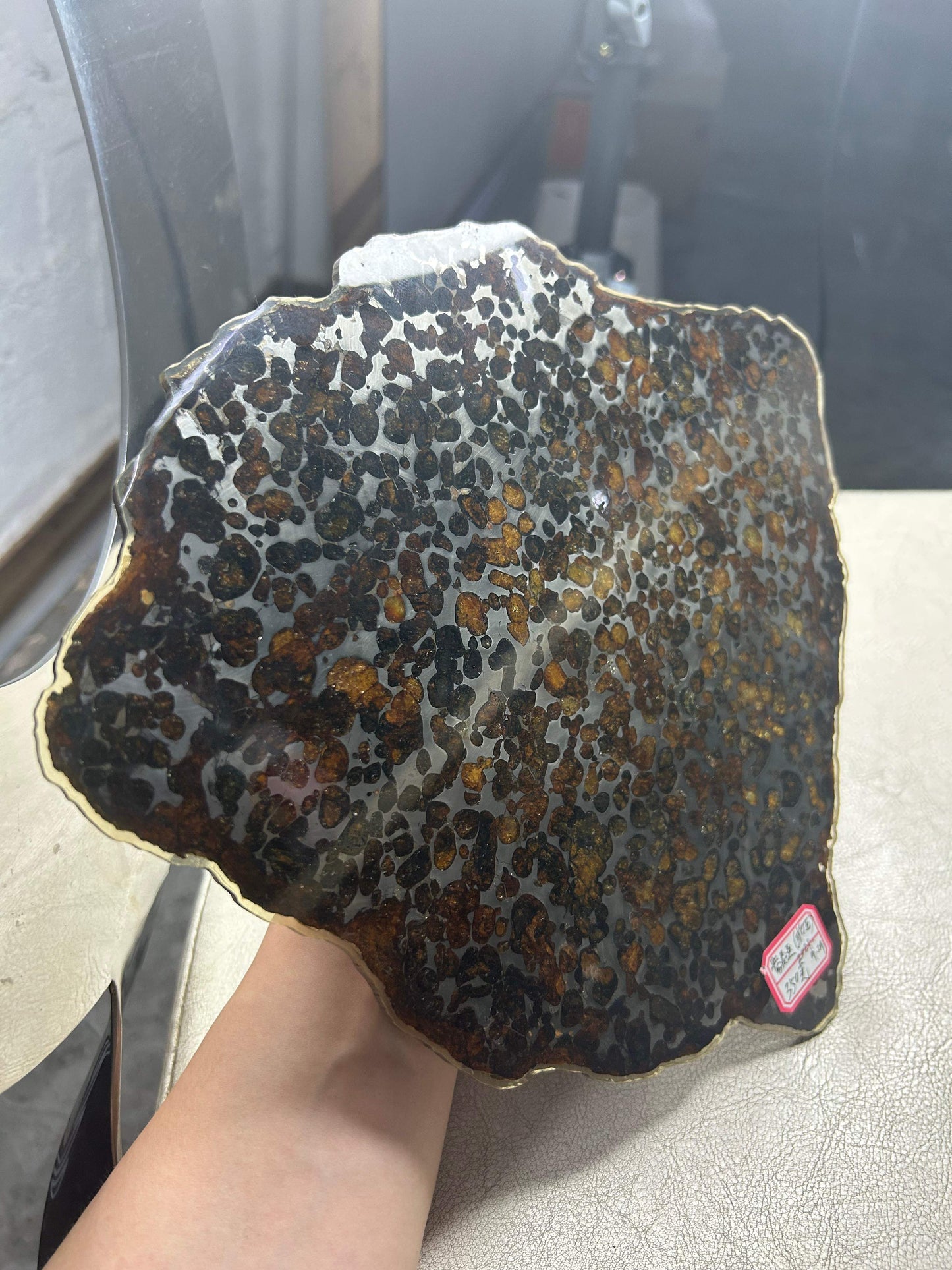 Sericho Pallasite Meteorite Slice 350g (200×230×3.5mm) — Golden Olivine “Gems in Meteorites” | Meteorite for Sale