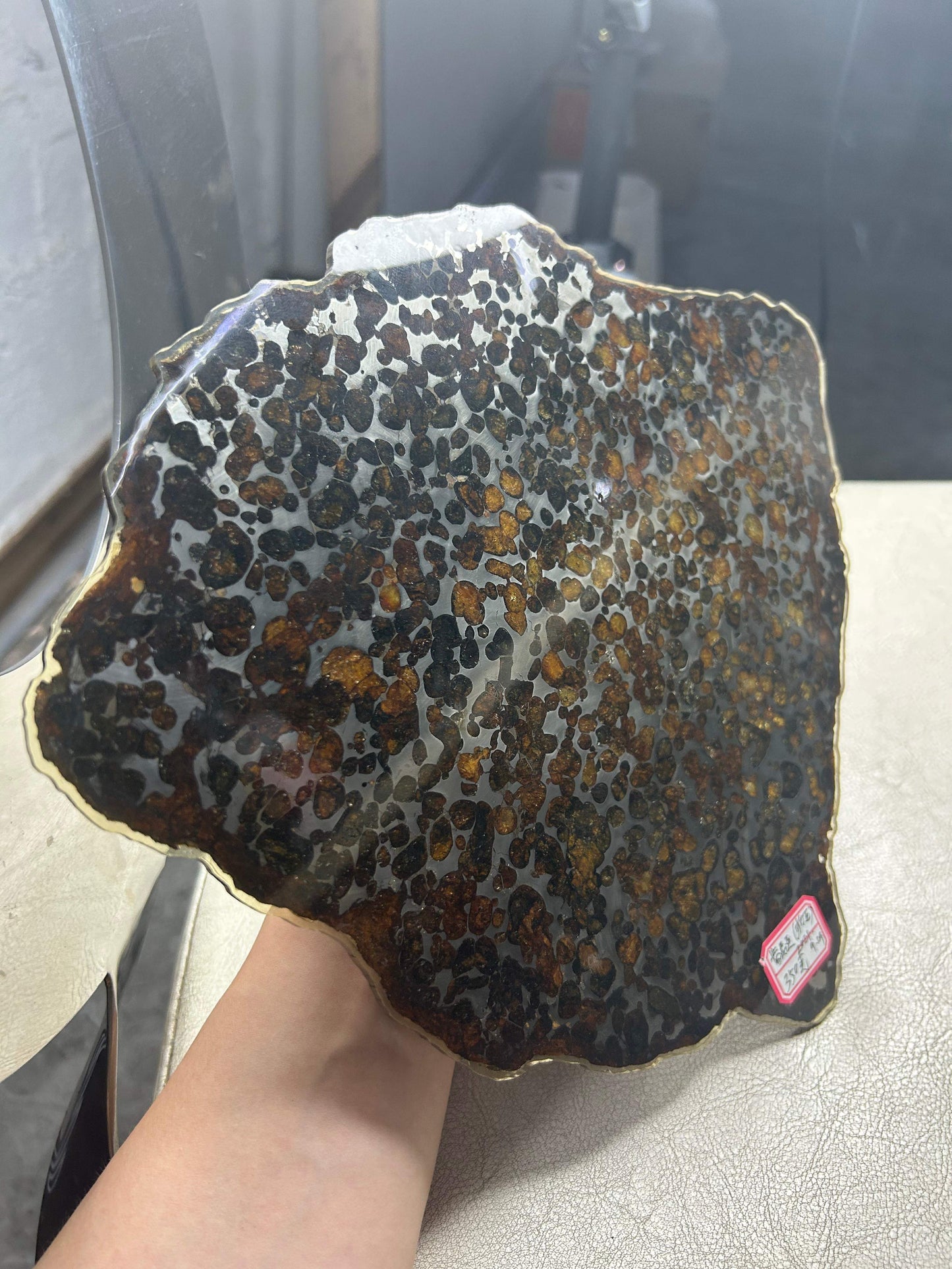 Sericho Pallasite Meteorite Slice 350g (200×230×3.5mm) — Golden Olivine “Gems in Meteorites” | Meteorite for Sale