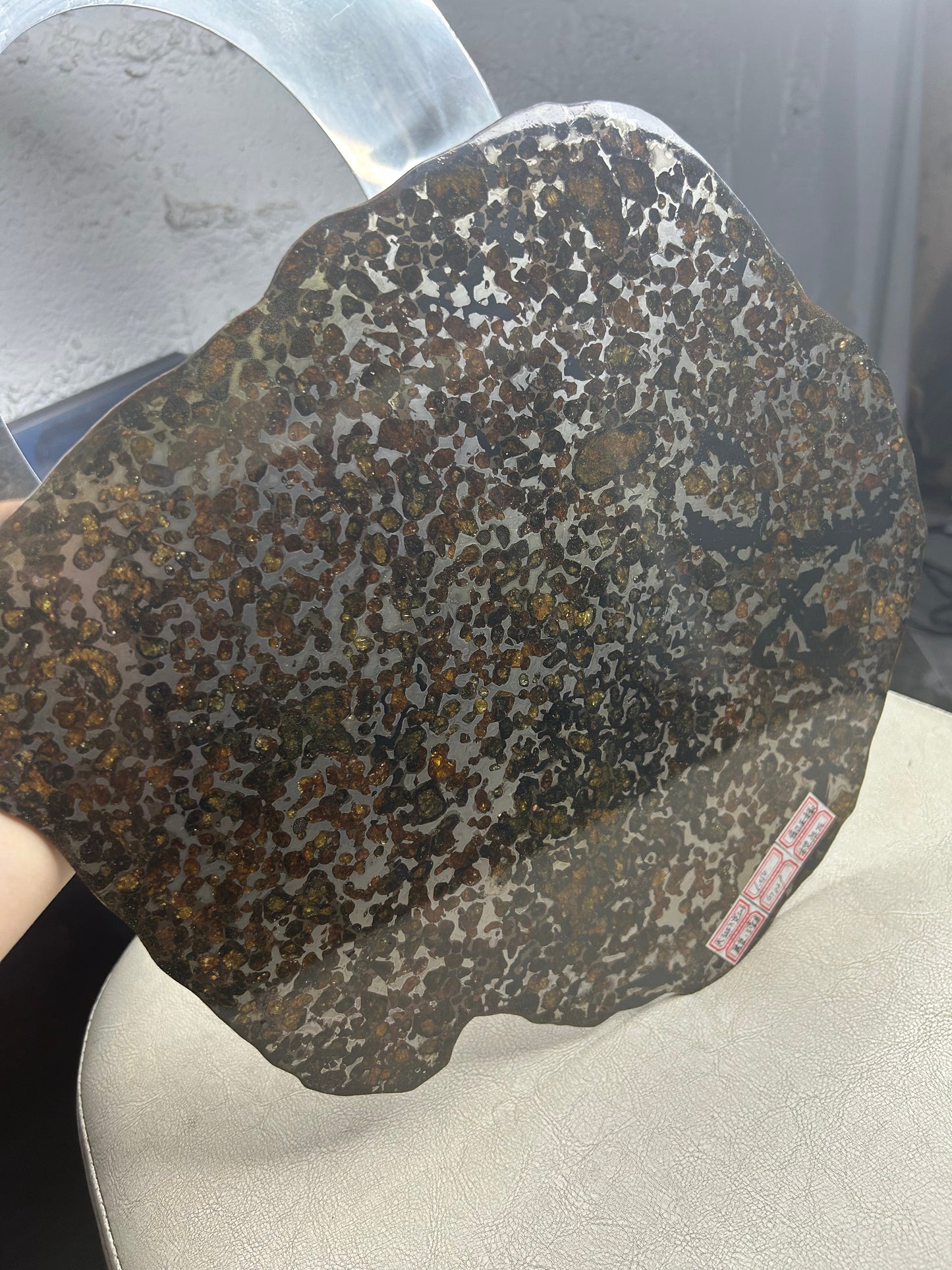 Sericho Pallasite Meteorite Slice 460g (250×225×3.5mm) — Golden Olivine “Gems in Meteorites” | Meteorite for Sale
