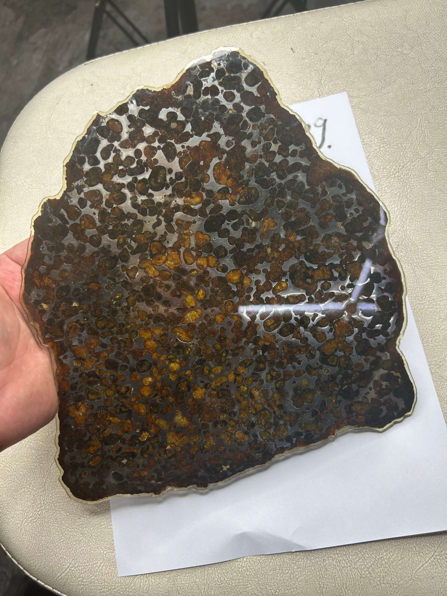 Sericho Pallasite Meteorite Slice 350g (200×230×3.5mm) — Golden Olivine “Gems in Meteorites” | Meteorite for Sale