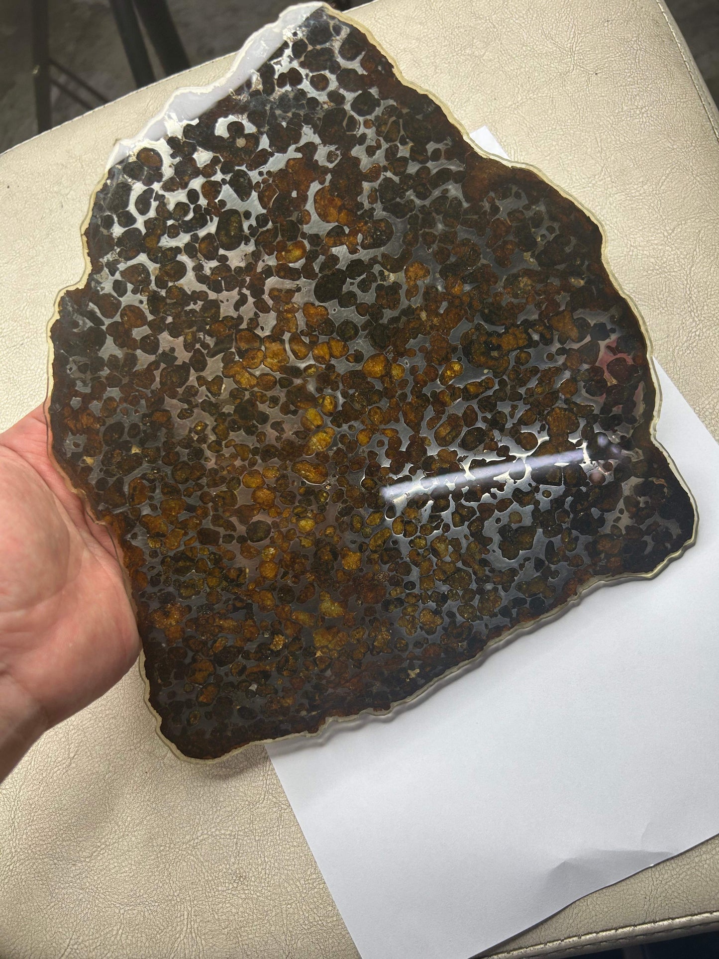 Sericho Pallasite Meteorite Slice 350g (200×230×3.5mm) — Golden Olivine “Gems in Meteorites” | Meteorite for Sale
