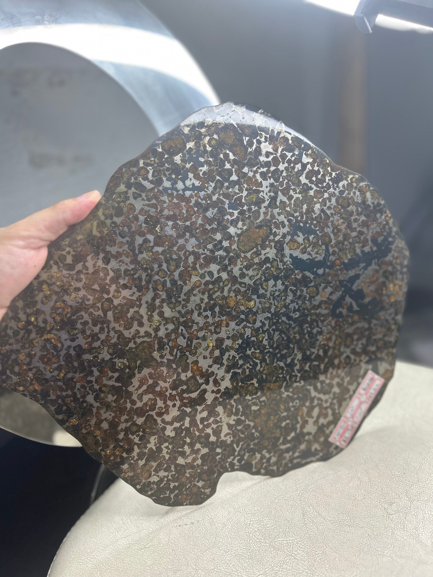 Sericho Pallasite Meteorite Slice 460g (250×225×3.5mm) — Golden Olivine “Gems in Meteorites” | Meteorite for Sale
