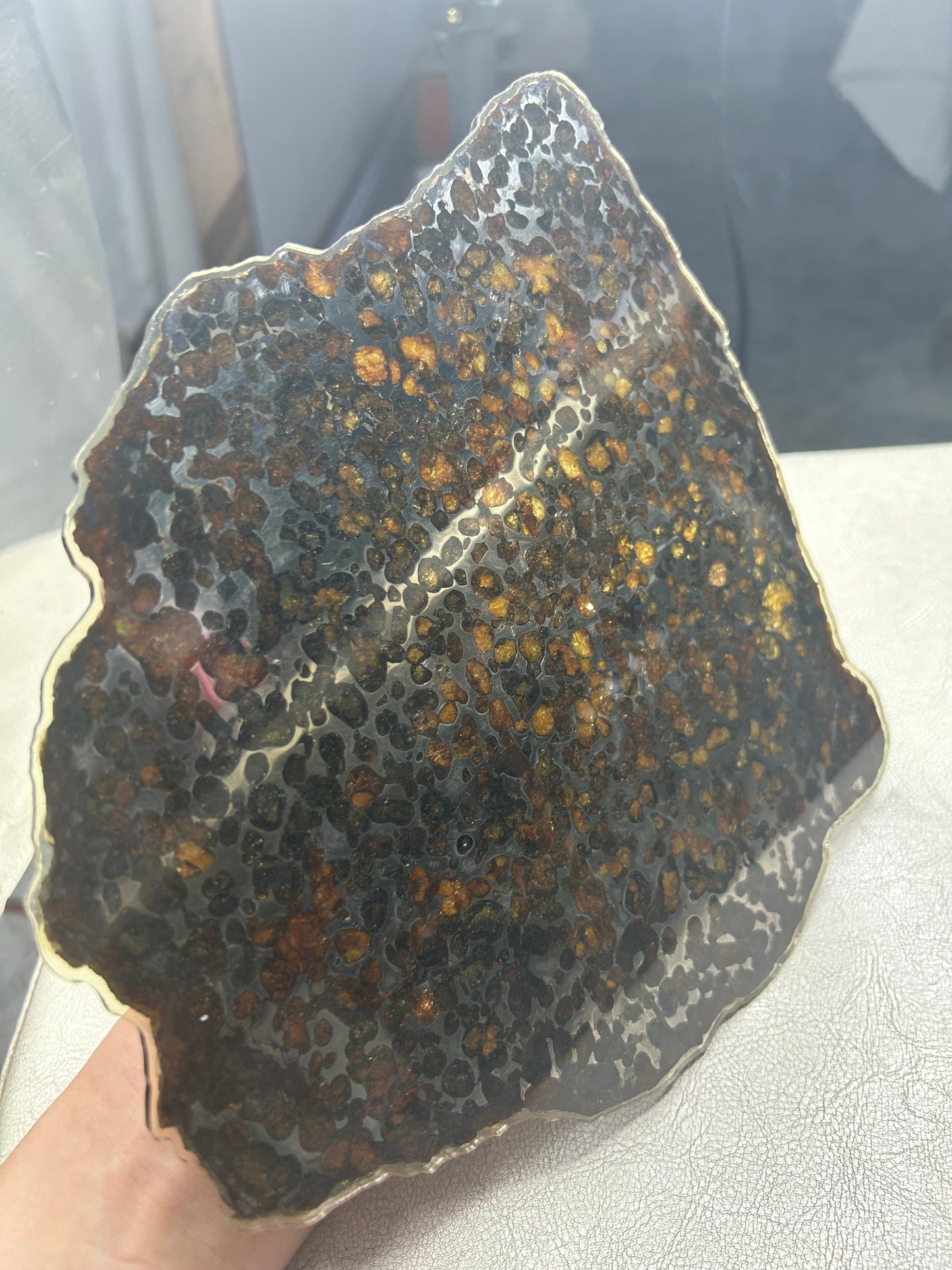 Sericho Pallasite Meteorite Slice 340g (200×220×3.5mm) — Golden Olivine Gems in Meteorites | Meteorite for Sale