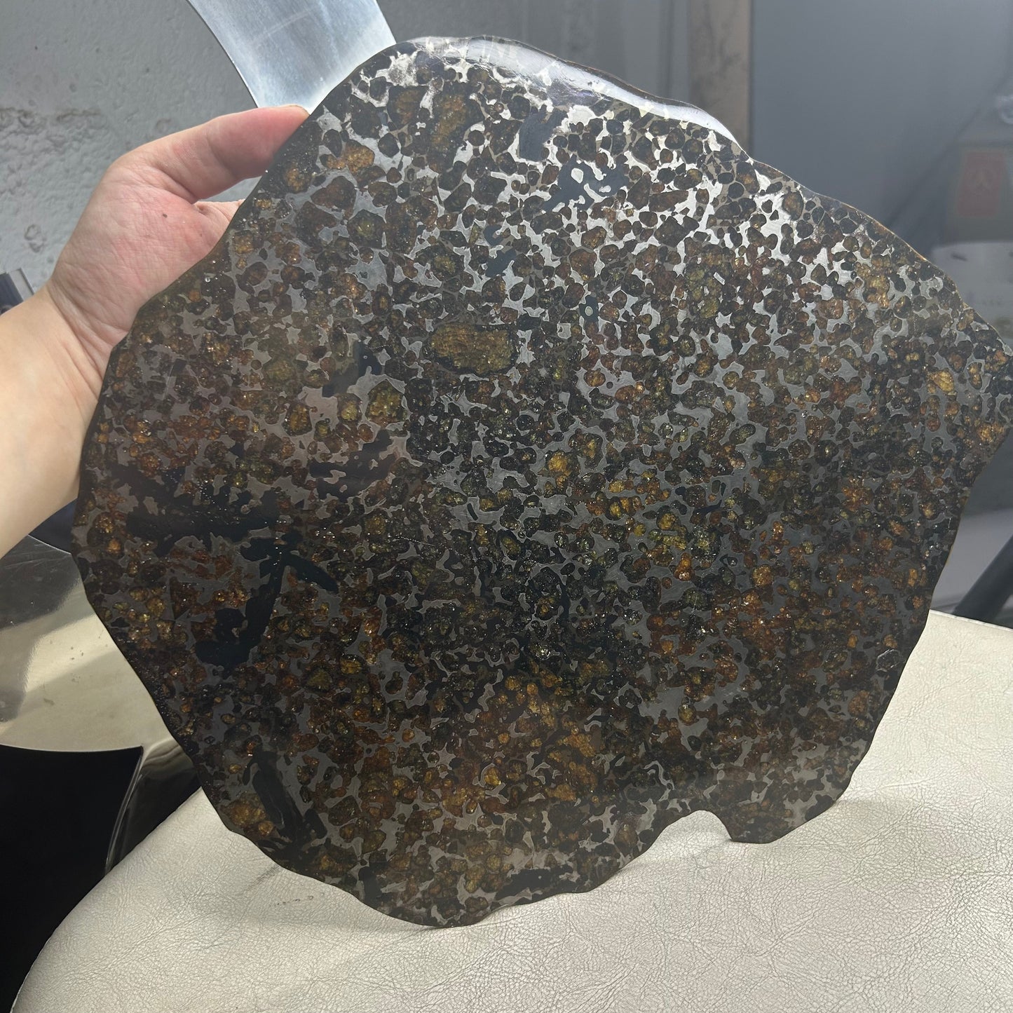 Sericho Pallasite Meteorite Slice 460g (250×225×3.5mm) — Golden Olivine “Gems in Meteorites” | Meteorite for Sale