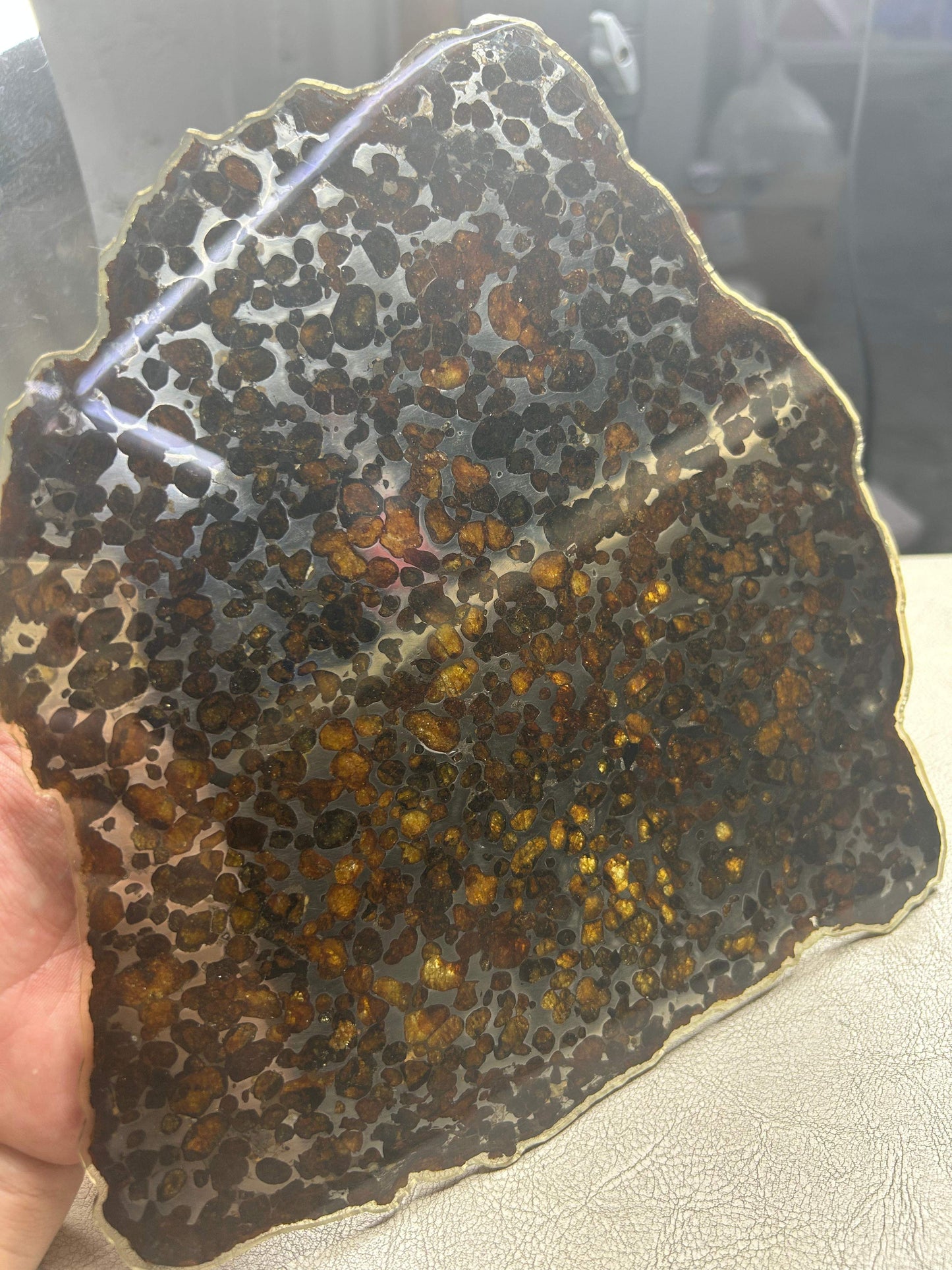Sericho Pallasite Meteorite Slice 350g (200×230×3.5mm) — Golden Olivine “Gems in Meteorites” | Meteorite for Sale