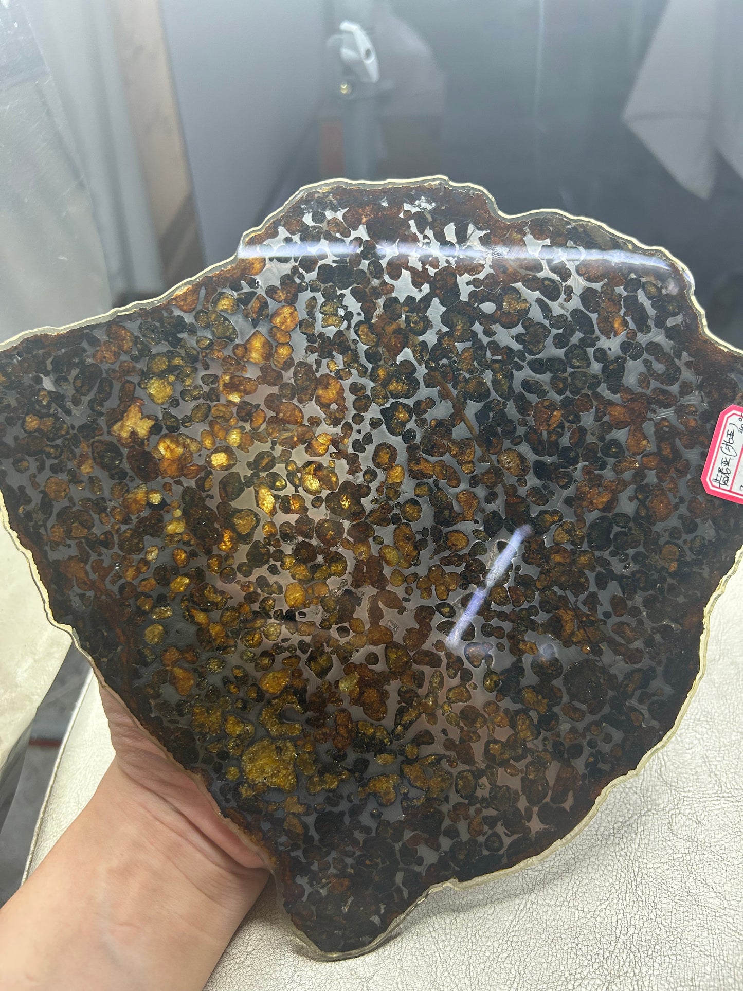 Sericho Pallasite Meteorite Slice 340g (200×220×3.5mm) — Golden Olivine Gems in Meteorites | Meteorite for Sale