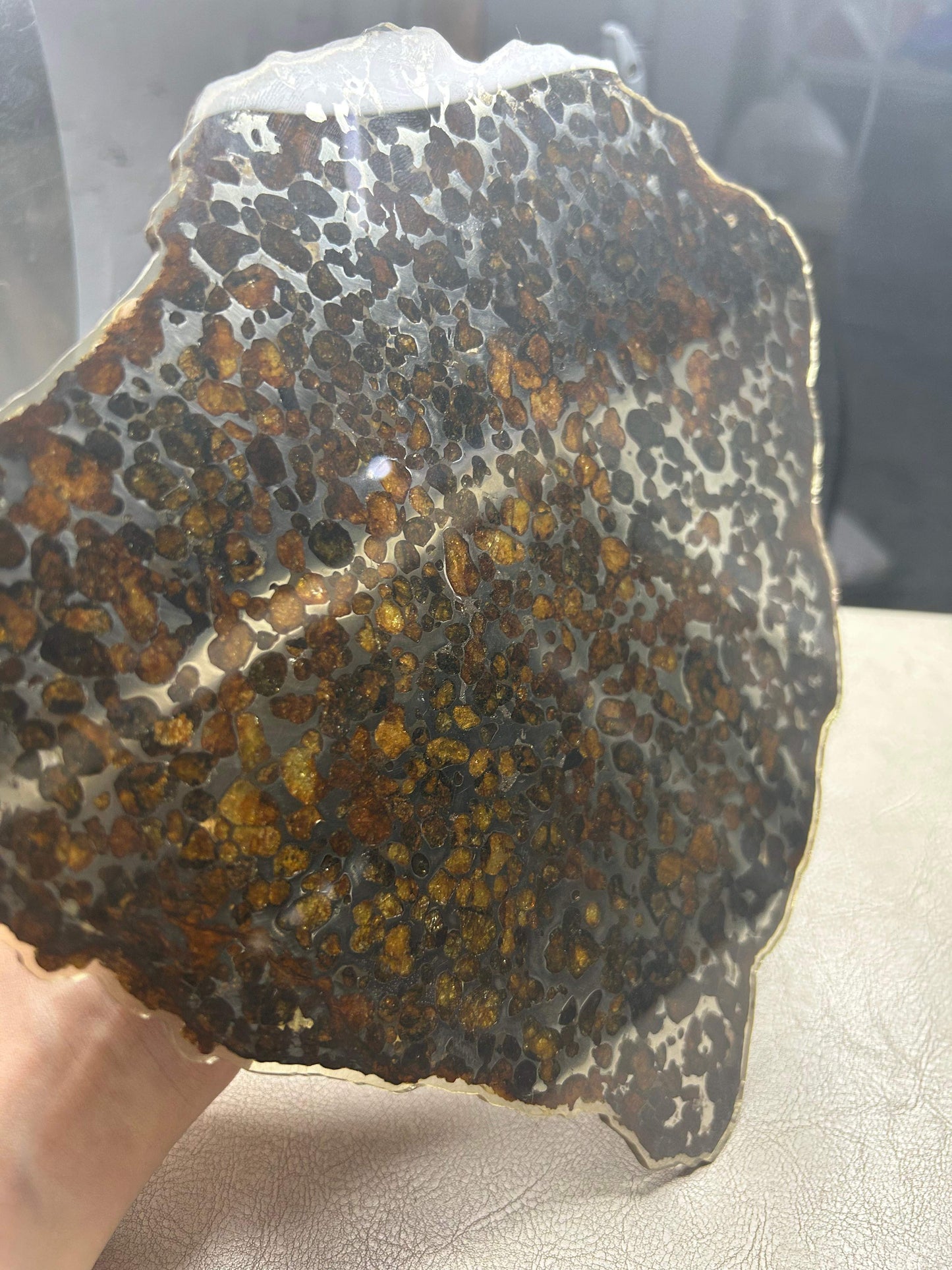 Sericho Pallasite Meteorite Slice 350g (200×230×3.5mm) — Golden Olivine “Gems in Meteorites” | Meteorite for Sale