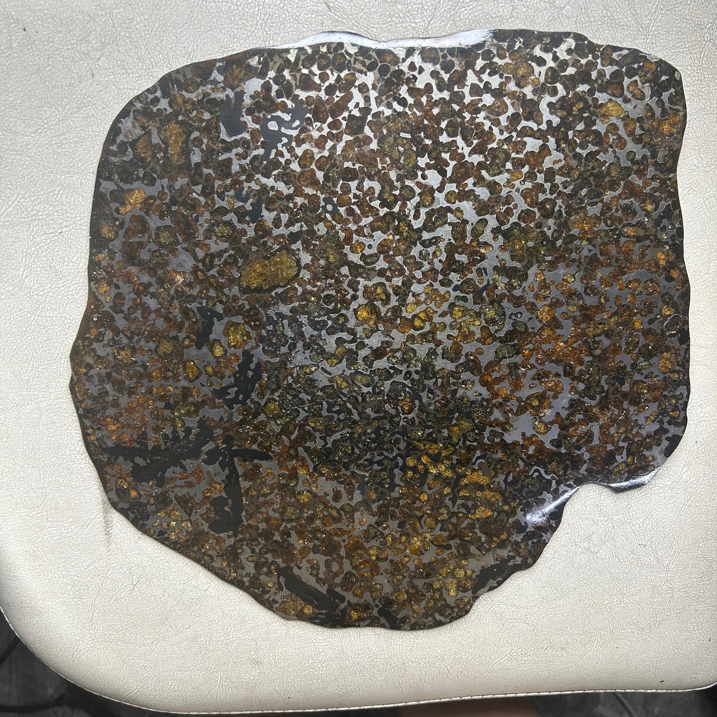Sericho Pallasite Meteorite Slice 460g (250×225×3.5mm) — Golden Olivine “Gems in Meteorites” | Meteorite for Sale
