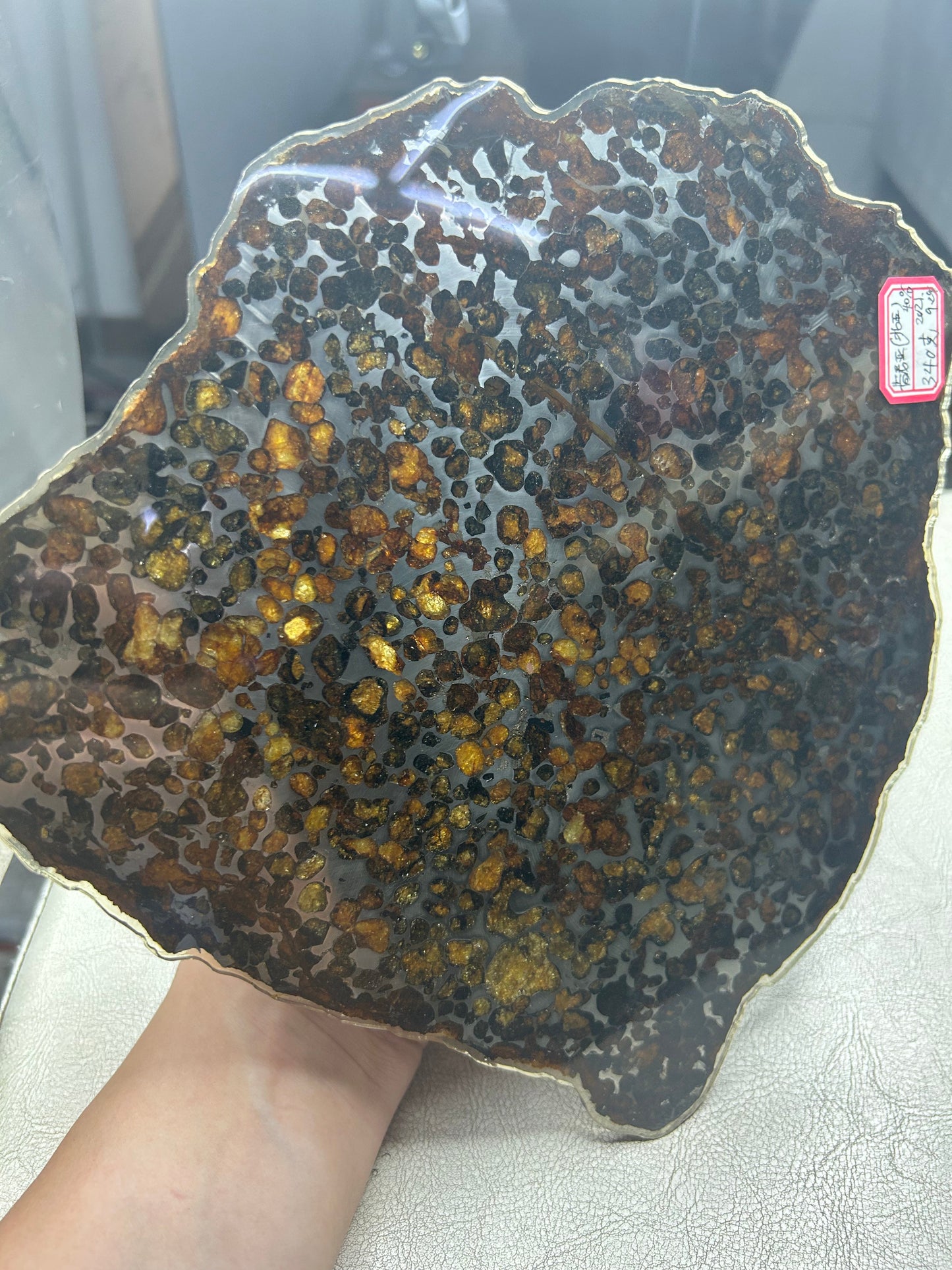 Sericho Pallasite Meteorite Slice 340g (200×220×3.5mm) — Golden Olivine Gems in Meteorites | Meteorite for Sale
