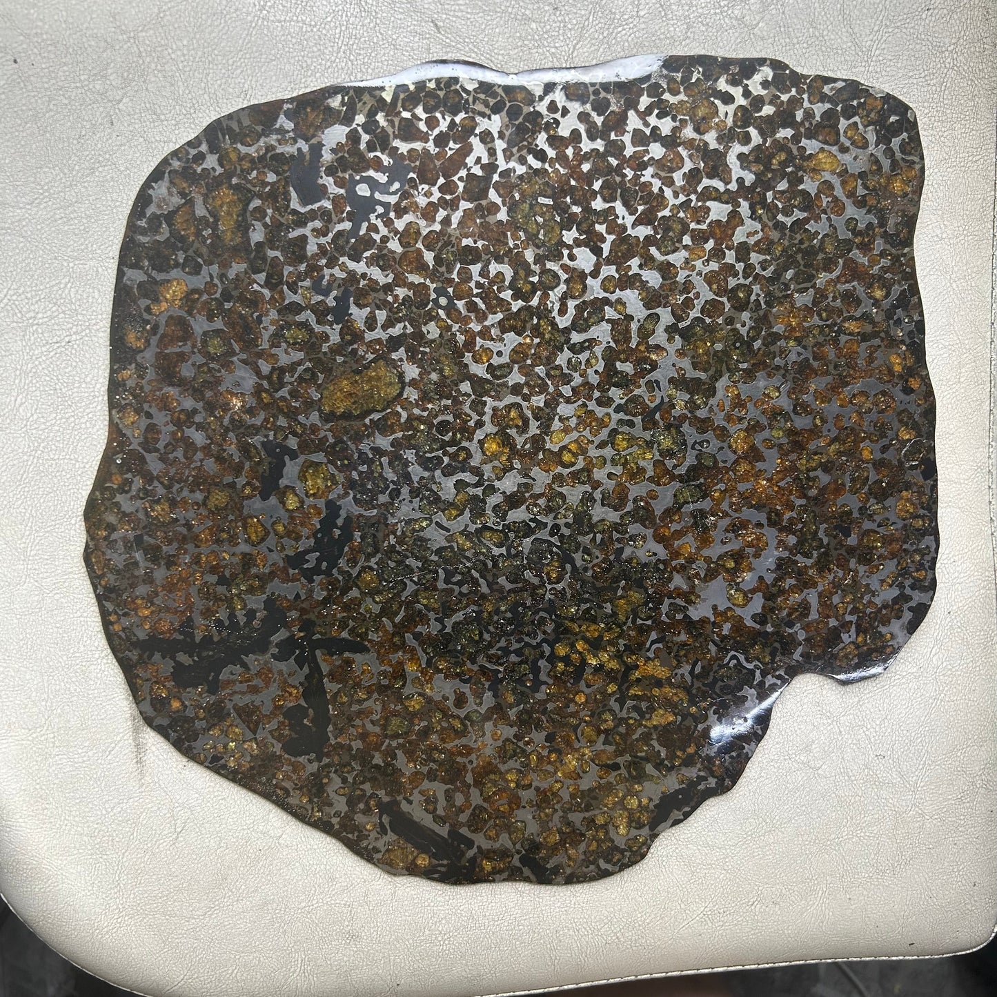 Sericho Pallasite Meteorite Slice 460g (250×225×3.5mm) — Golden Olivine “Gems in Meteorites” | Meteorite for Sale