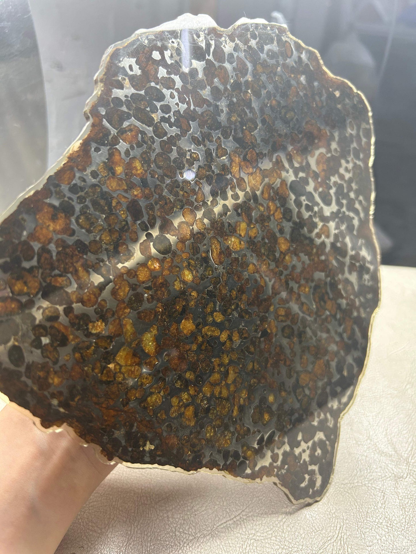 Sericho Pallasite Meteorite Slice 350g (200×230×3.5mm) — Golden Olivine “Gems in Meteorites” | Meteorite for Sale