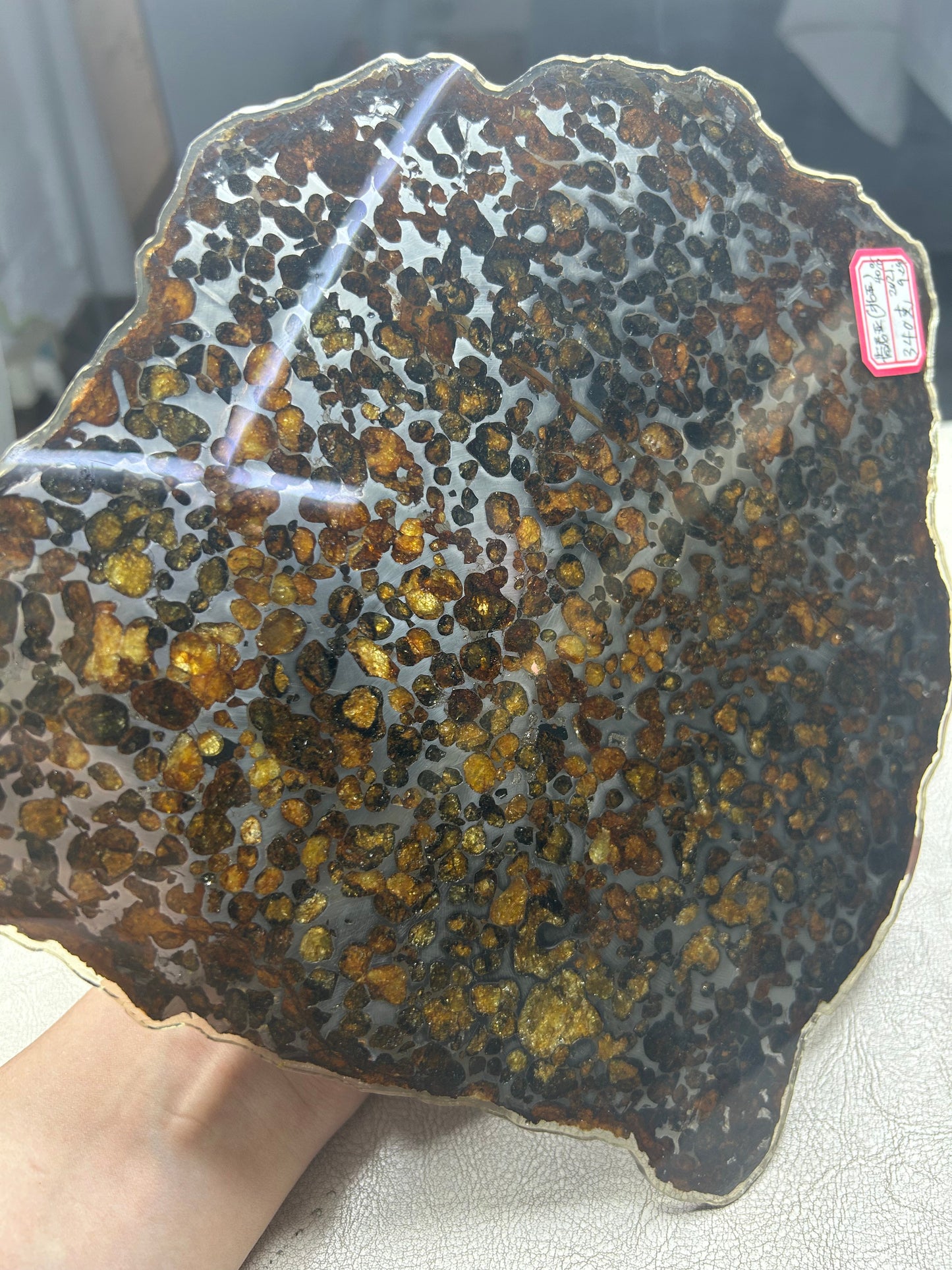 Sericho Pallasite Meteorite Slice 340g (200×220×3.5mm) — Golden Olivine Gems in Meteorites | Meteorite for Sale