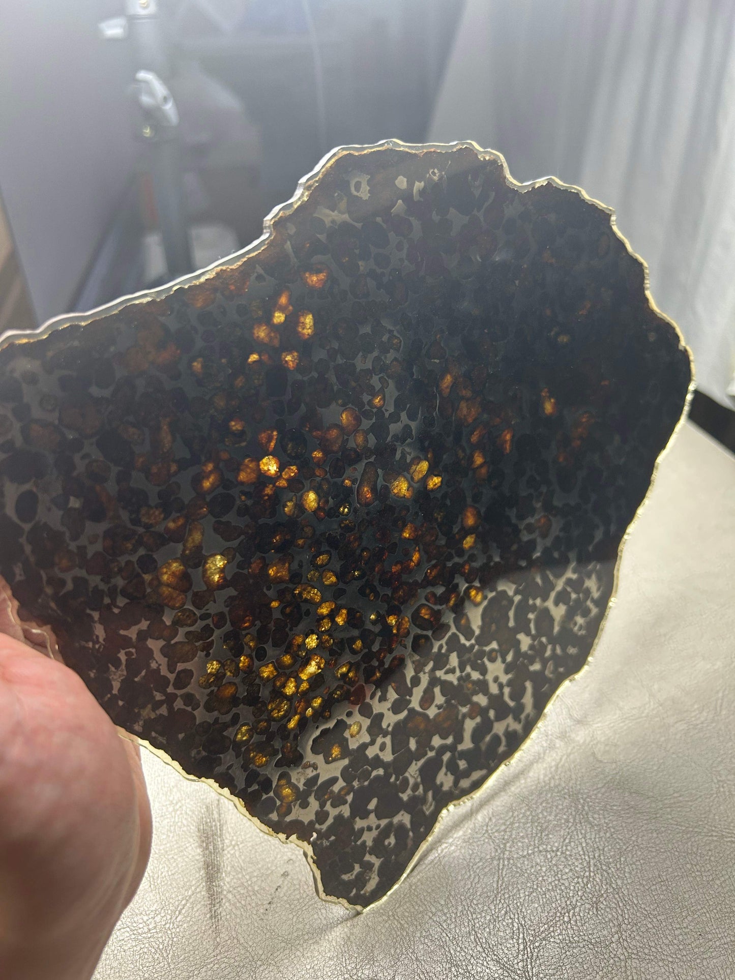 Sericho Pallasite Meteorite Slice 350g (200×230×3.5mm) — Golden Olivine “Gems in Meteorites” | Meteorite for Sale