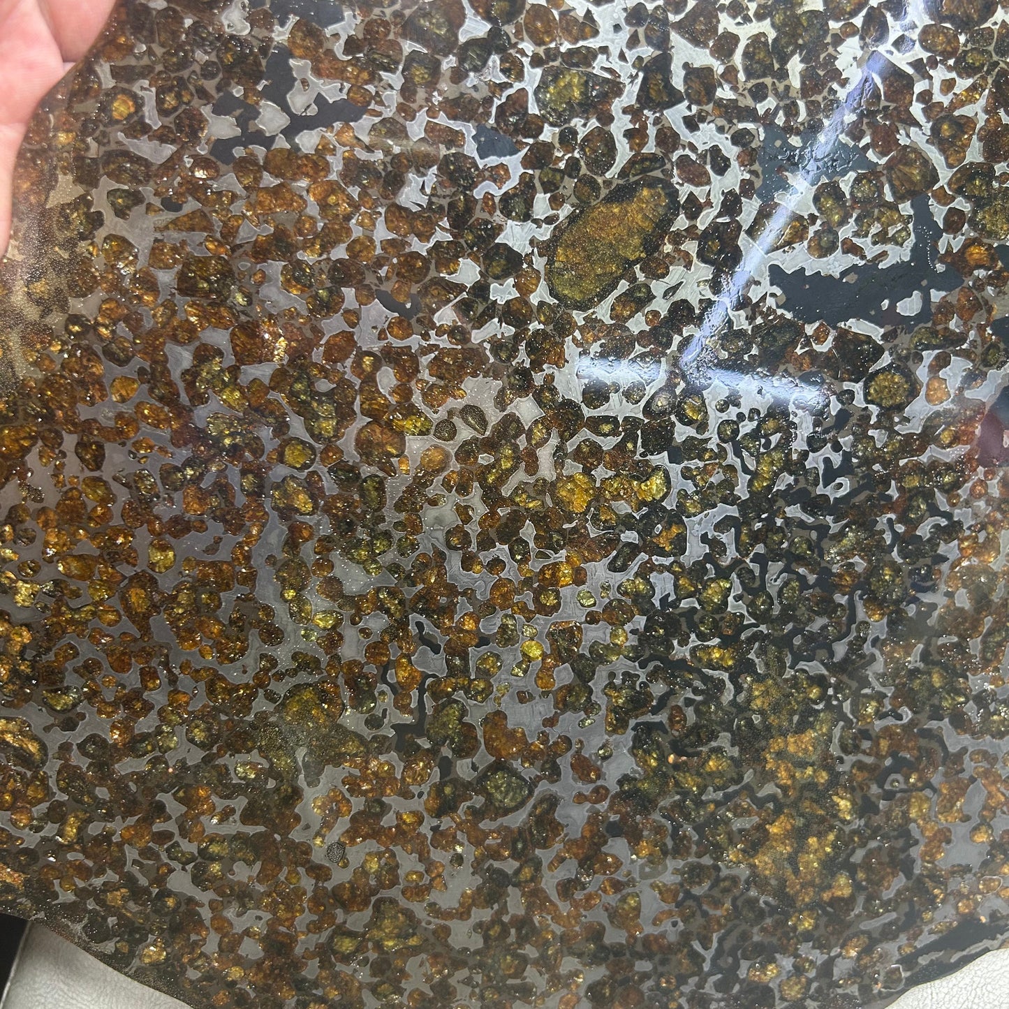 Sericho Pallasite Meteorite Slice 460g (250×225×3.5mm) — Golden Olivine “Gems in Meteorites” | Meteorite for Sale
