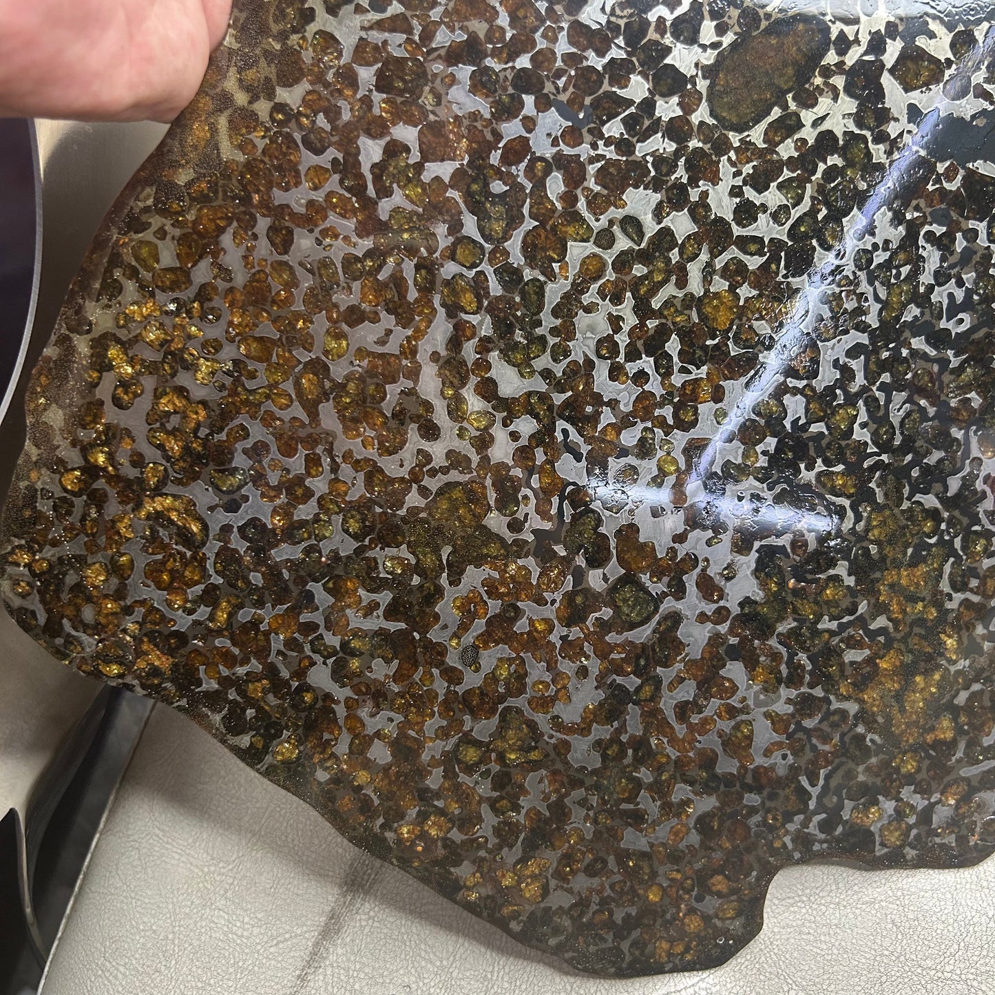 Sericho Pallasite Meteorite Slice 460g (250×225×3.5mm) — Golden Olivine “Gems in Meteorites” | Meteorite for Sale