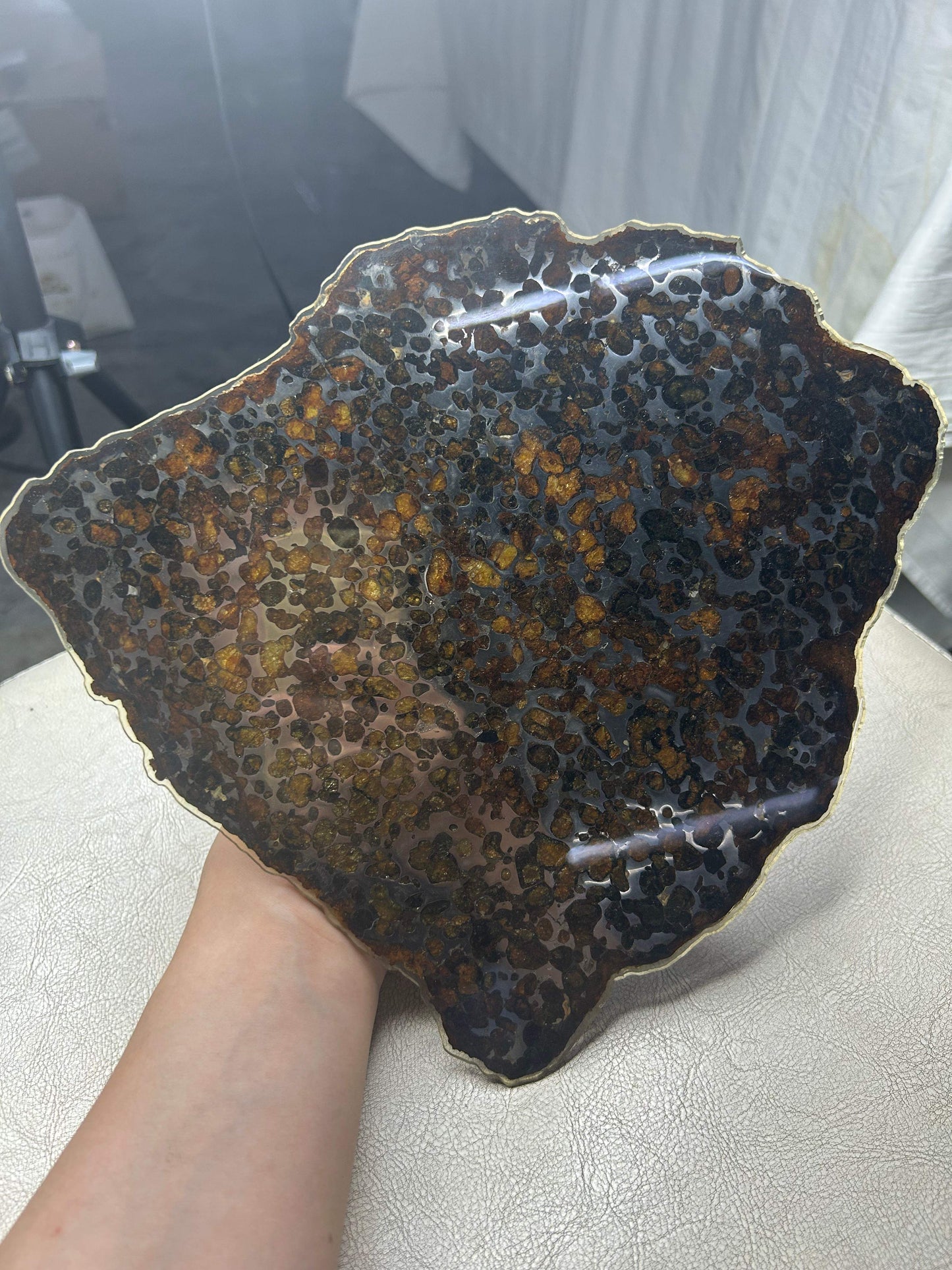Sericho Pallasite Meteorite Slice 350g (200×230×3.5mm) — Golden Olivine “Gems in Meteorites” | Meteorite for Sale