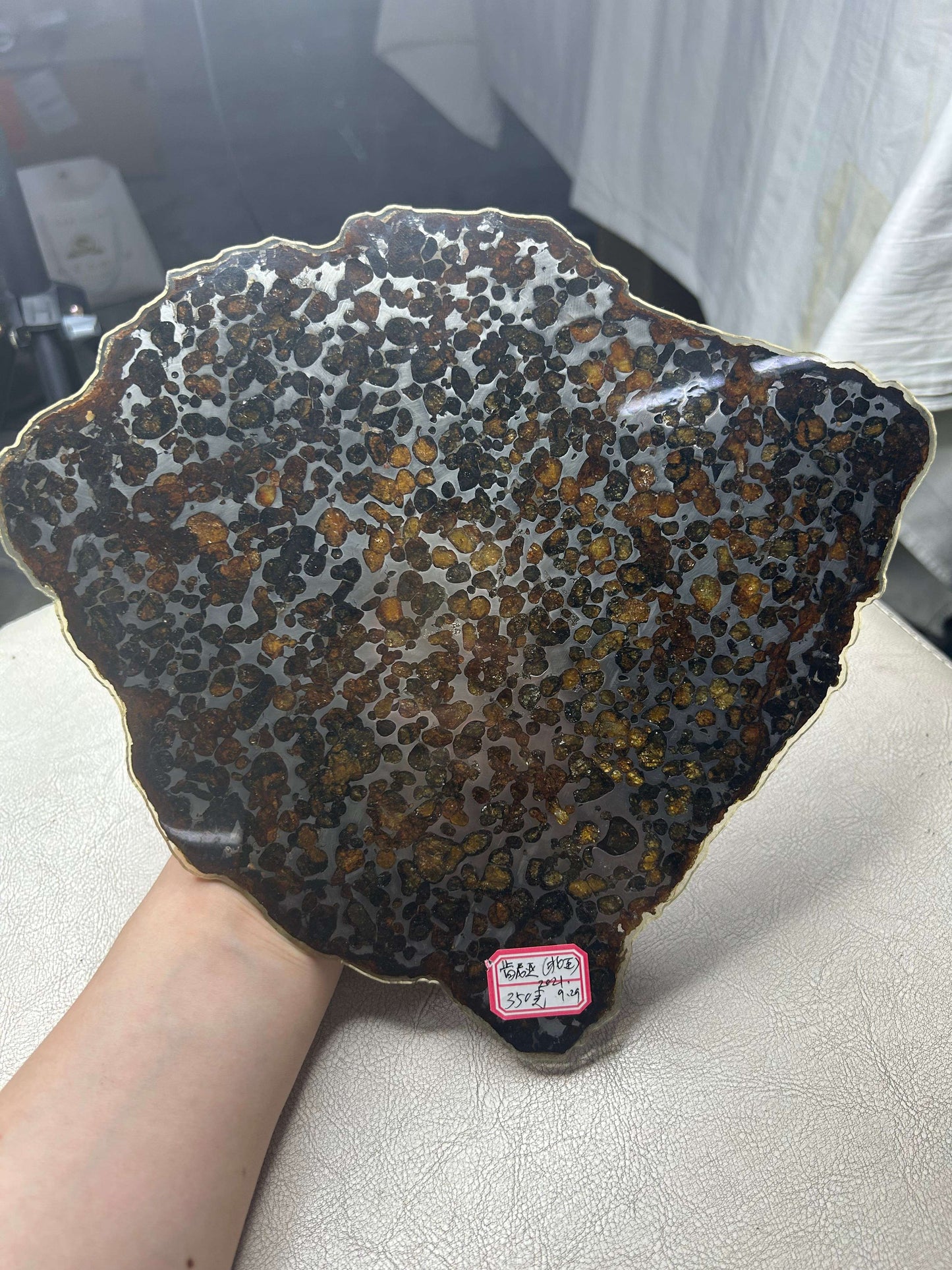 Sericho Pallasite Meteorite Slice 350g (200×230×3.5mm) — Golden Olivine “Gems in Meteorites” | Meteorite for Sale