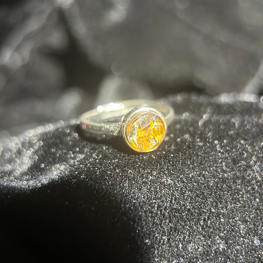 Authentic Sericho Pallasite Adjustable Ring — 8mm Round Meteorite Inlay, PVD Silver Tone, Unisex Statement Gift