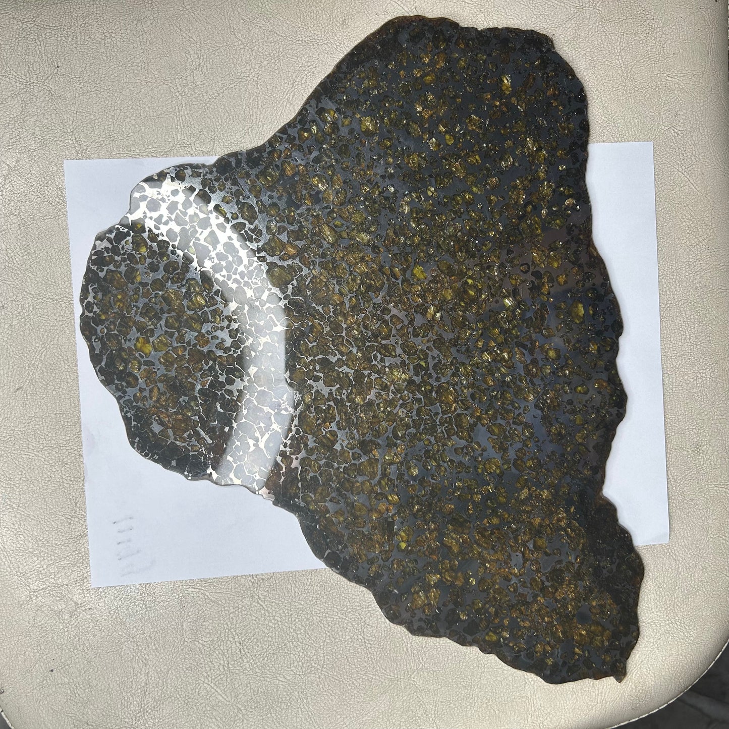 Seymchan Pallasite Meteorite Slice 889g (270×290×4mm) —Imperial Green Olivine “Gems in Meteorites” + Stand & COA | Meteorite for Sale