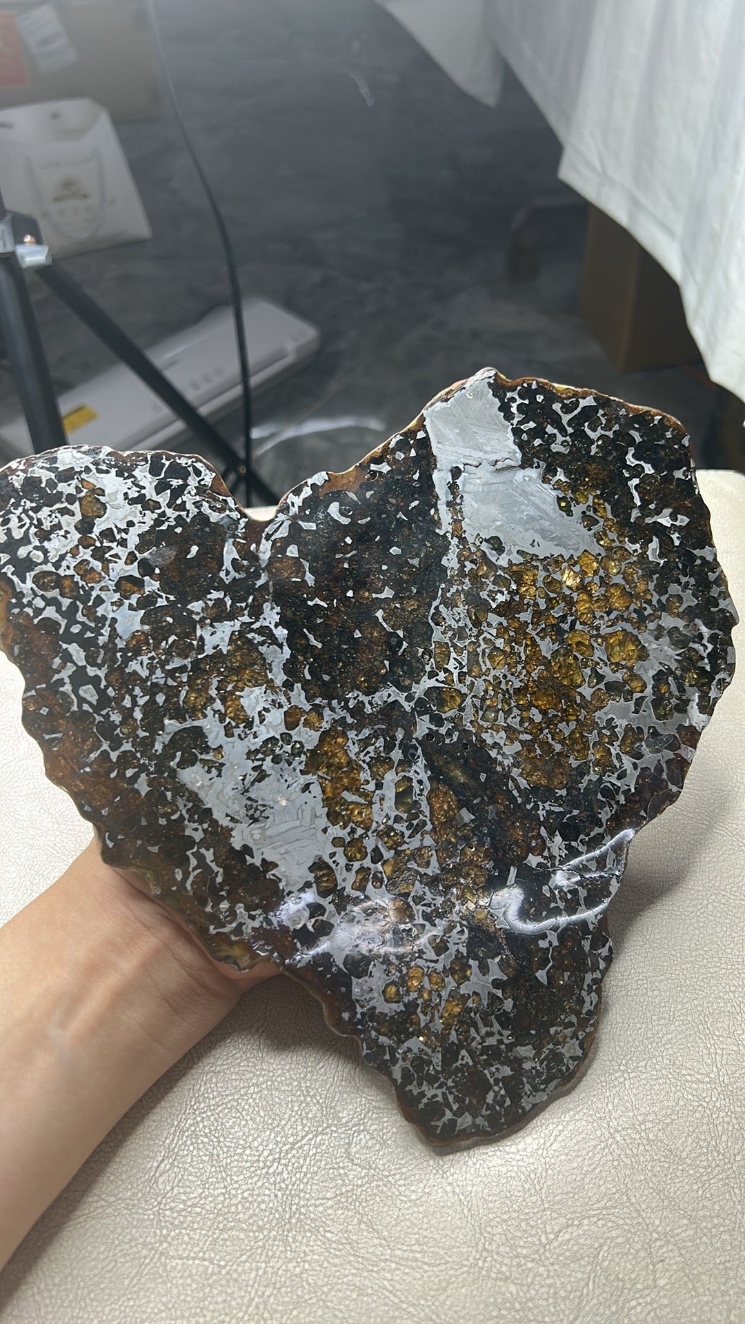 Heart-Shaped Seymchan Pallasite Meteorite Slice 682g (225×228×4mm) — Gems in Meteorites | Meteorite for Sale