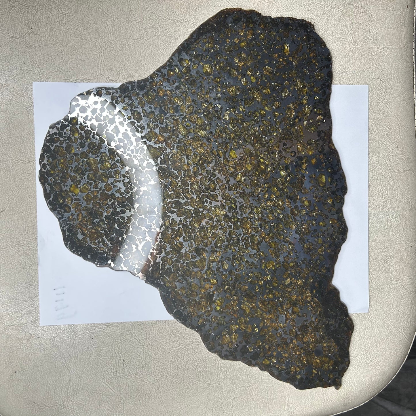 Seymchan Pallasite Meteorite Slice 889g (270×290×4mm) —Imperial Green Olivine “Gems in Meteorites” + Stand & COA | Meteorite for Sale