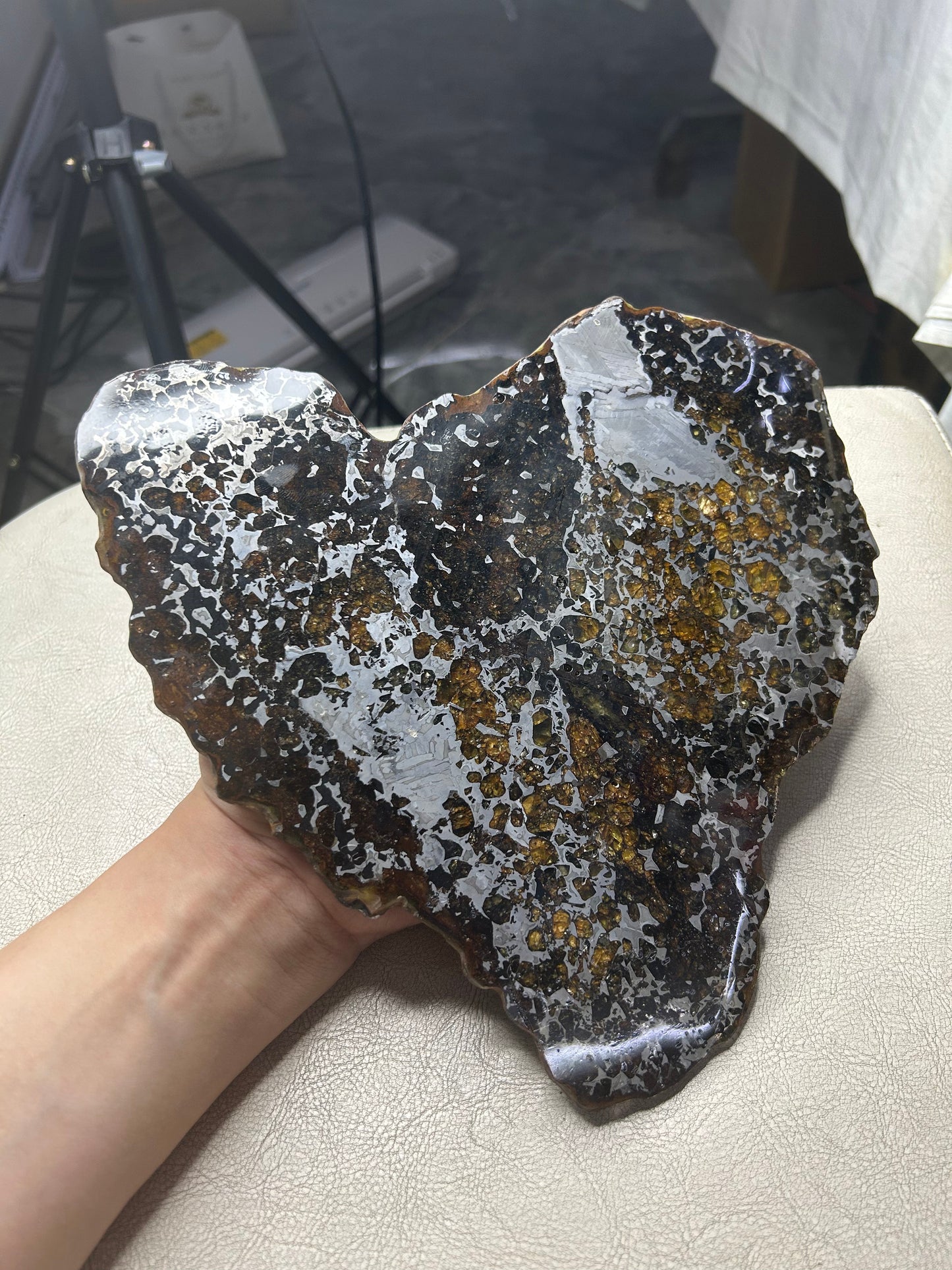 Heart-Shaped Seymchan Pallasite Meteorite Slice 682g (225×228×4mm) — Gems in Meteorites | Meteorite for Sale