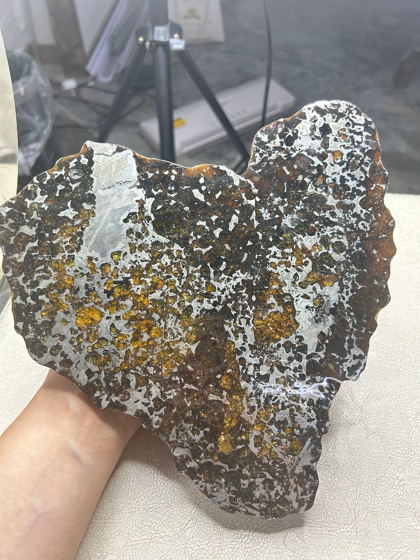 Heart-Shaped Seymchan Pallasite Meteorite Slice 682g (225×228×4mm) — Gems in Meteorites | Meteorite for Sale