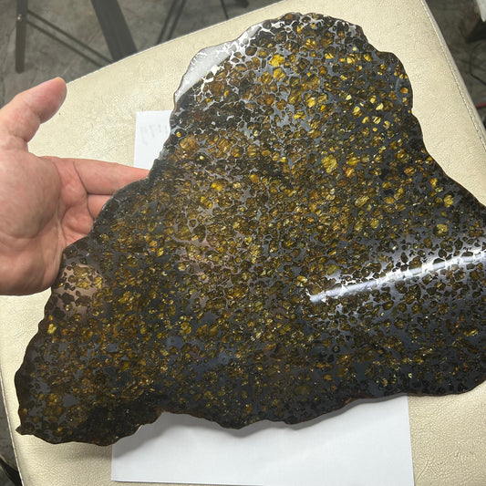 Seymchan Pallasite Meteorite Slice 889g (270×290×4mm) —Imperial Green Olivine “Gems in Meteorites” + Stand & COA | Meteorite for Sale
