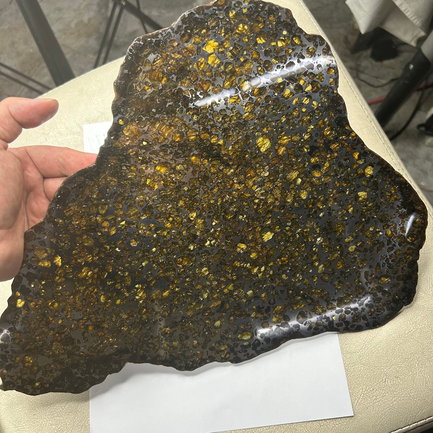Seymchan Pallasite Meteorite Slice 889g (270×290×4mm) —Imperial Green Olivine “Gems in Meteorites” + Stand & COA | Meteorite for Sale