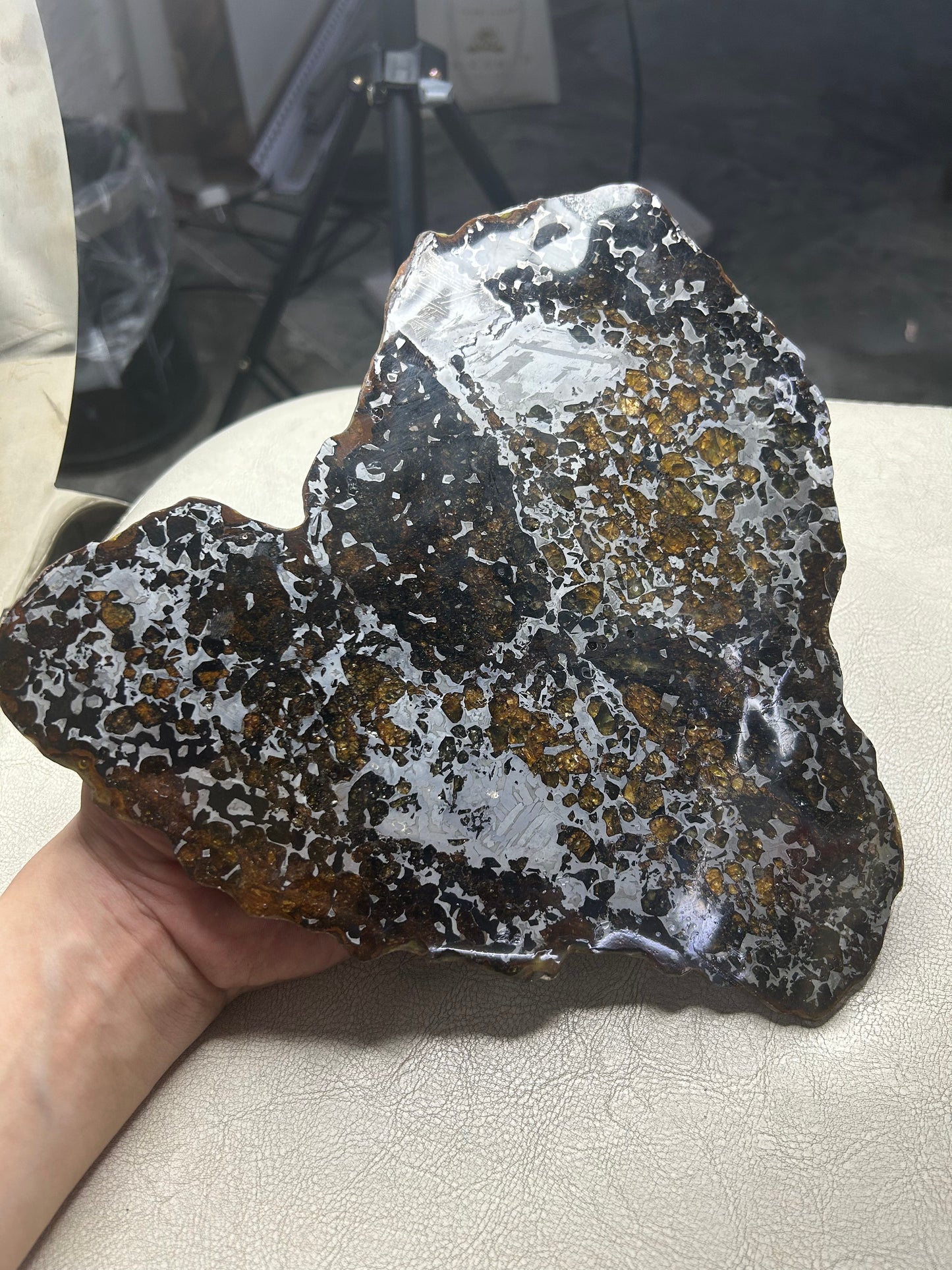 Heart-Shaped Seymchan Pallasite Meteorite Slice 682g (225×228×4mm) — Gems in Meteorites | Meteorite for Sale