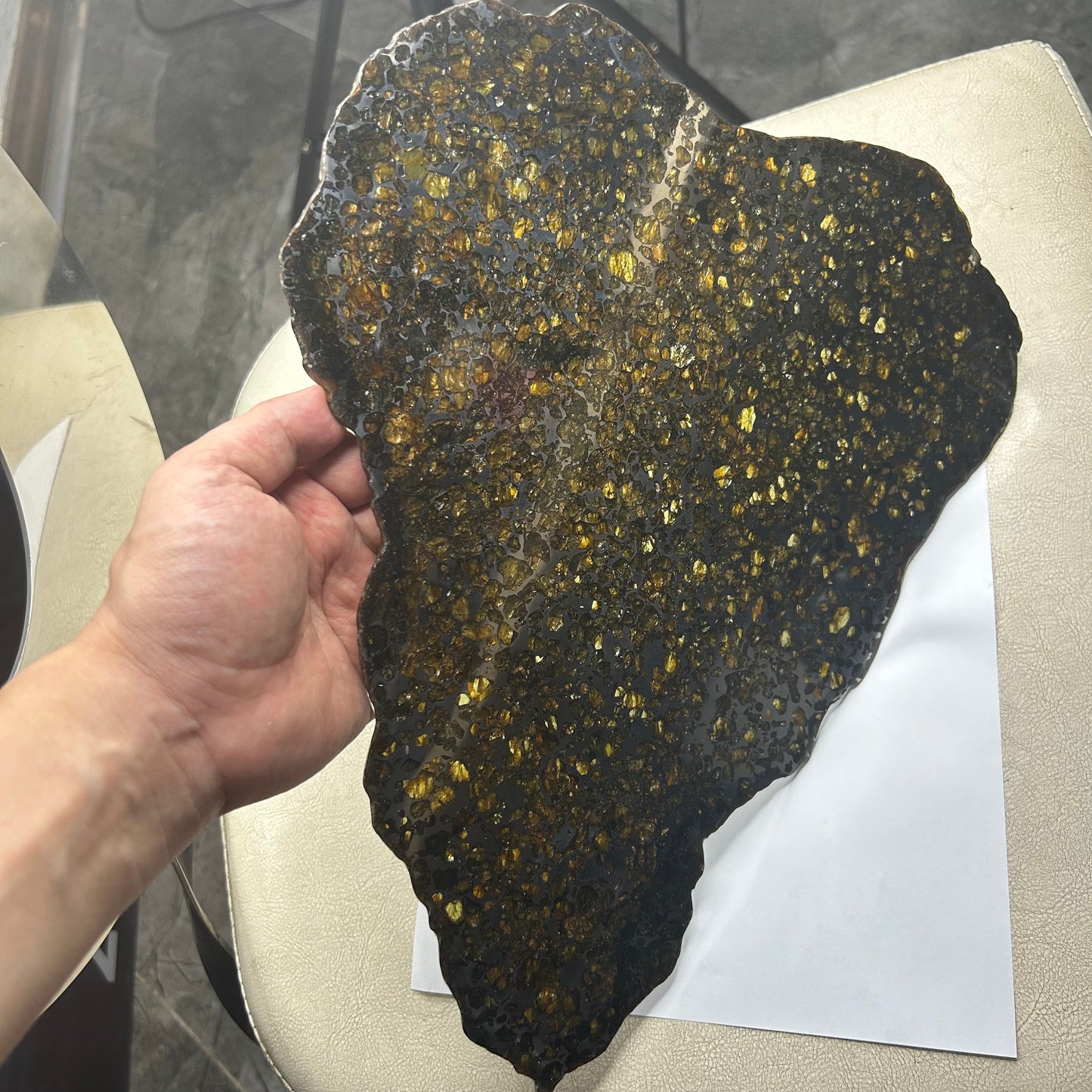 Seymchan Pallasite Meteorite Slice 889g (270×290×4mm) —Imperial Green Olivine “Gems in Meteorites” + Stand & COA | Meteorite for Sale