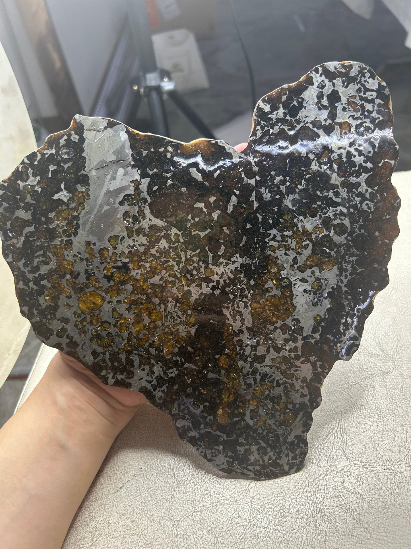 Heart-Shaped Seymchan Pallasite Meteorite Slice 682g (225×228×4mm) — Gems in Meteorites | Meteorite for Sale