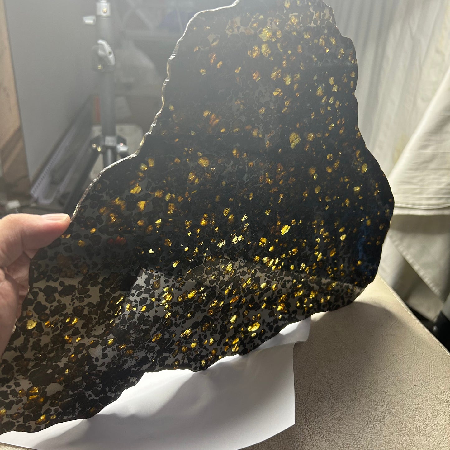 Seymchan Pallasite Meteorite Slice 889g (270×290×4mm) —Imperial Green Olivine “Gems in Meteorites” + Stand & COA | Meteorite for Sale