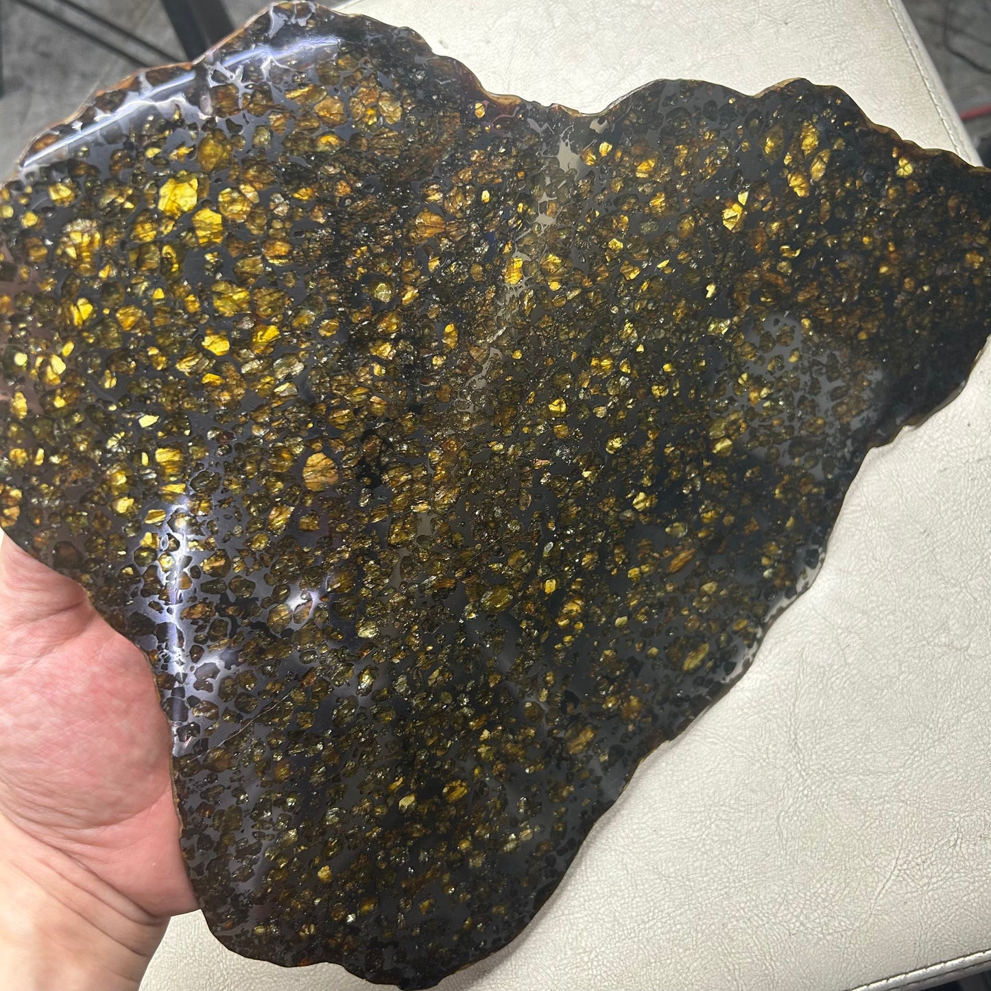 Seymchan Pallasite Meteorite Slice 889g (270×290×4mm) —Imperial Green Olivine “Gems in Meteorites” + Stand & COA | Meteorite for Sale