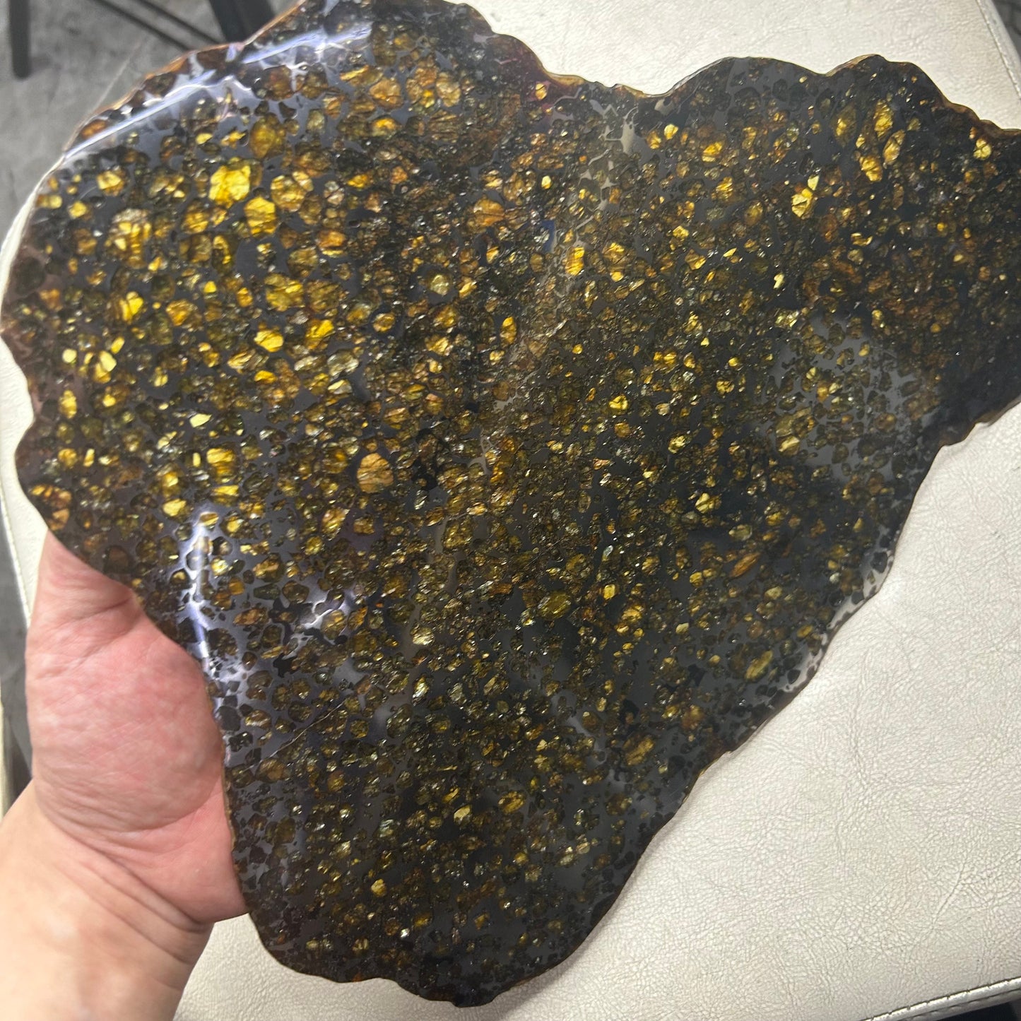 Seymchan Pallasite Meteorite Slice 889g (270×290×4mm) —Imperial Green Olivine “Gems in Meteorites” + Stand & COA | Meteorite for Sale