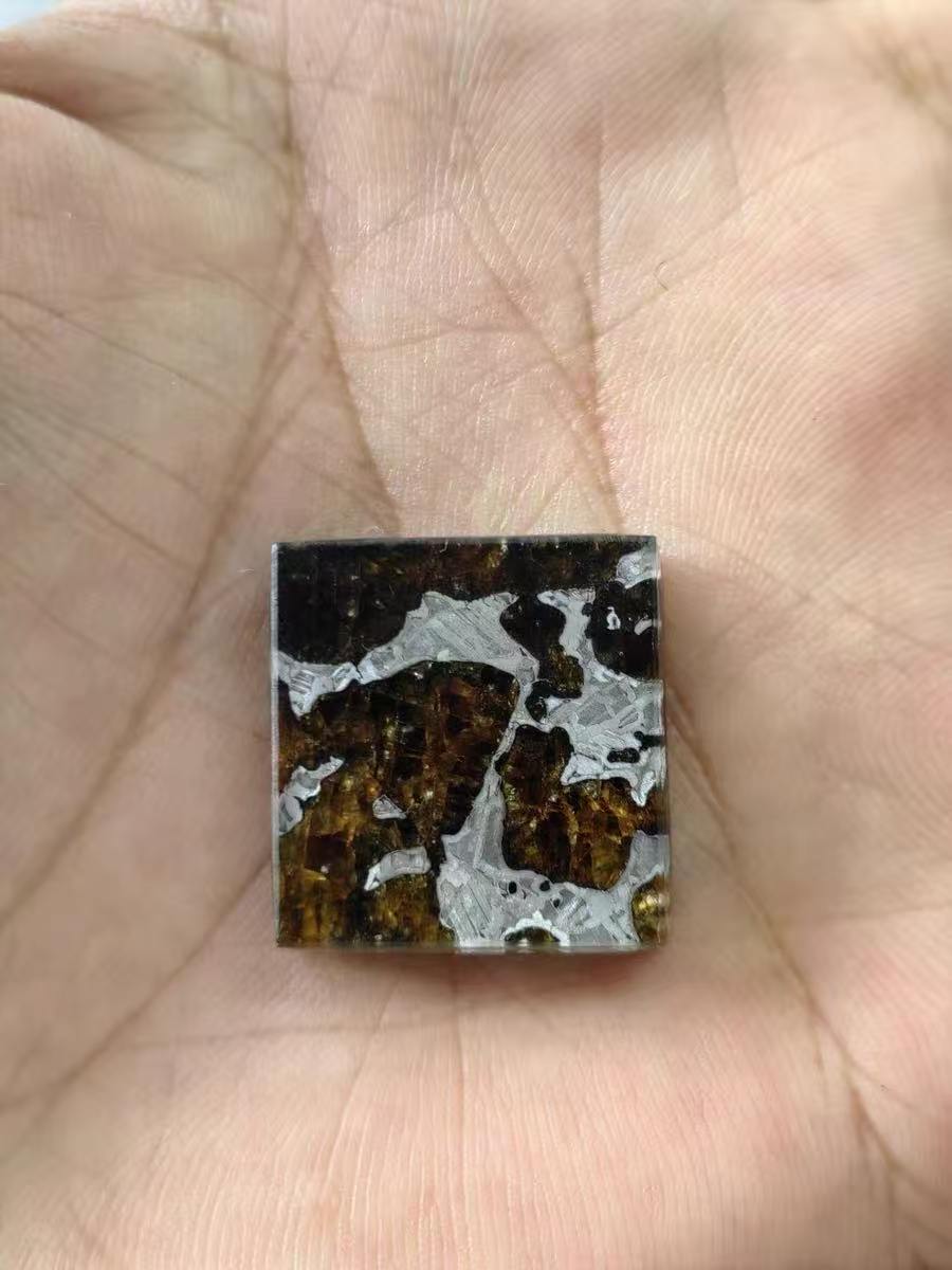Rare Eagle Station Heihe Shengli Pallasite Slice – 20*20*4.5mm – Nickel-Iron Matrix with Olivine
