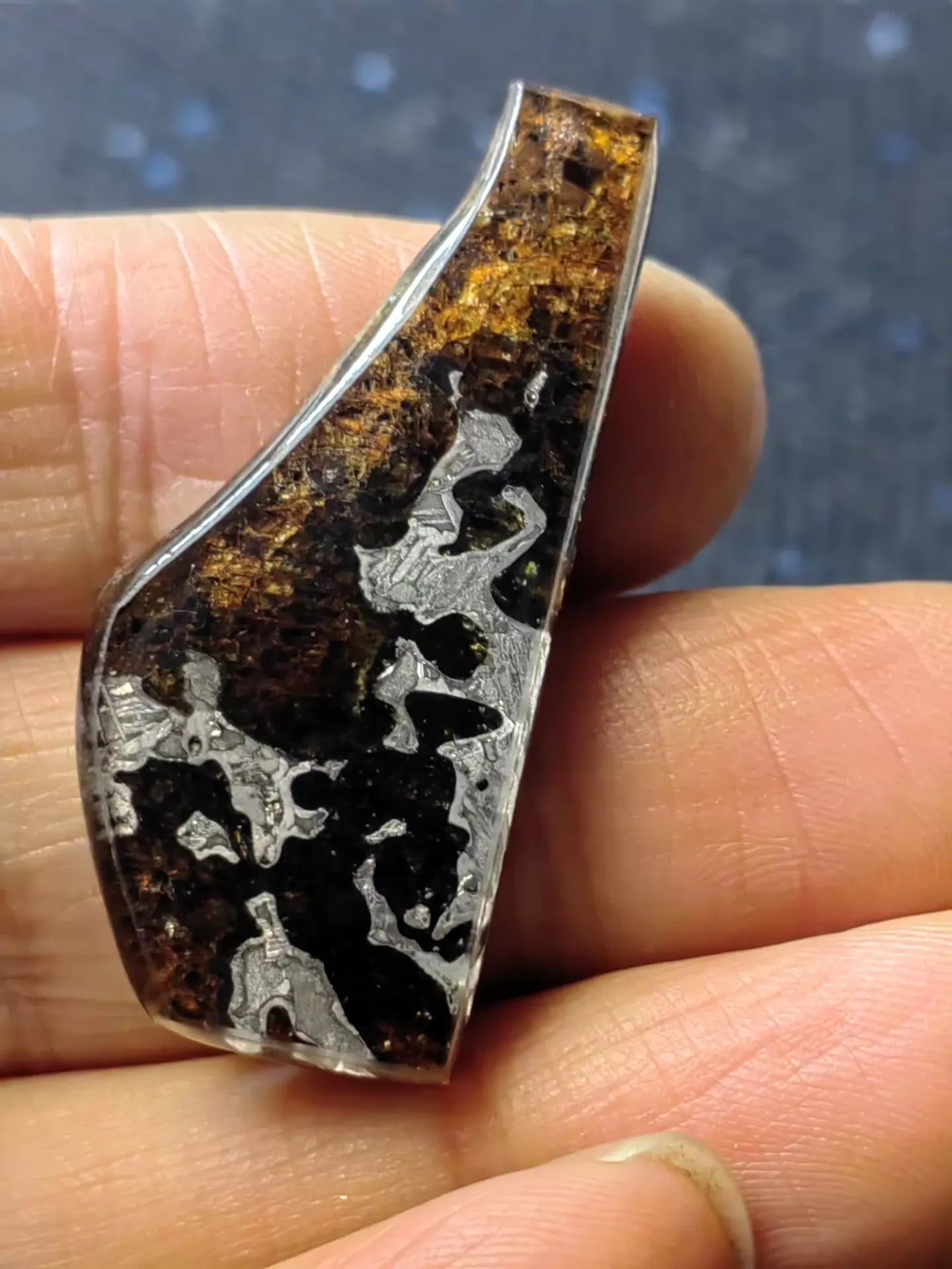 Rare Eagle Station Heihe Shengli Pallasite Slice – 42*16*4mm – Nickel-Iron Matrix with Olivine