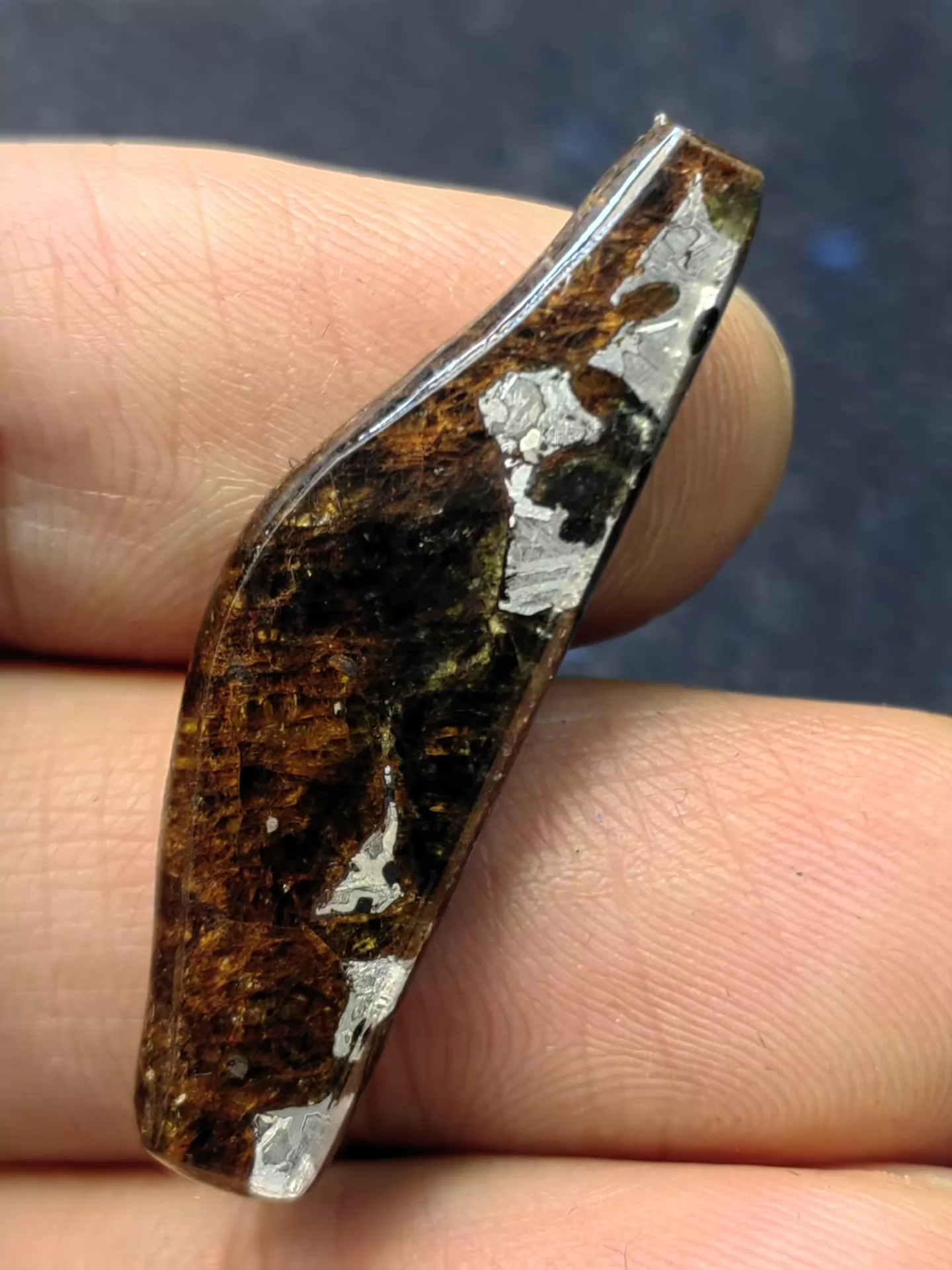 Rare Eagle Station Heihe Shengli Pallasite Slice – 42*16*4mm – Nickel-Iron Matrix with Olivine