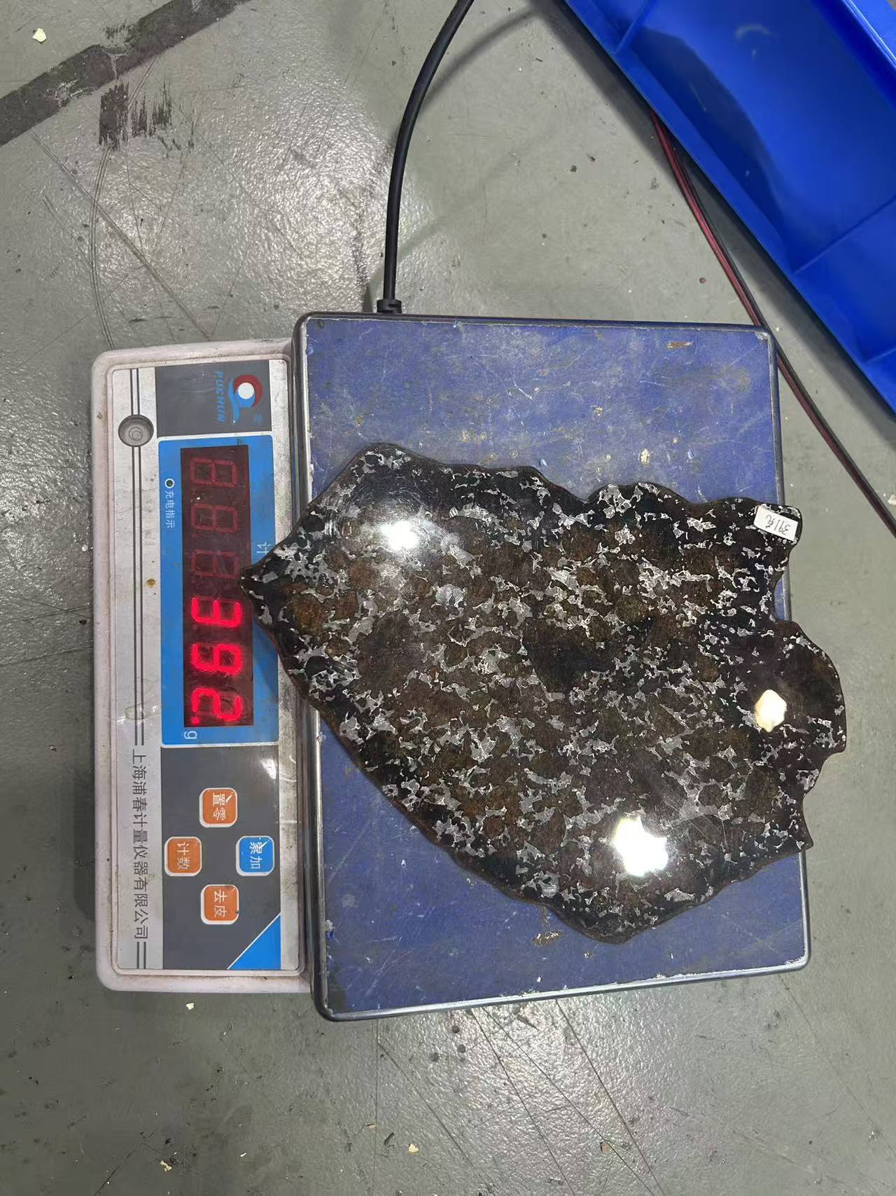 Eagle Station PMG Pallasite Specimen, 392g | Rare low market inventory